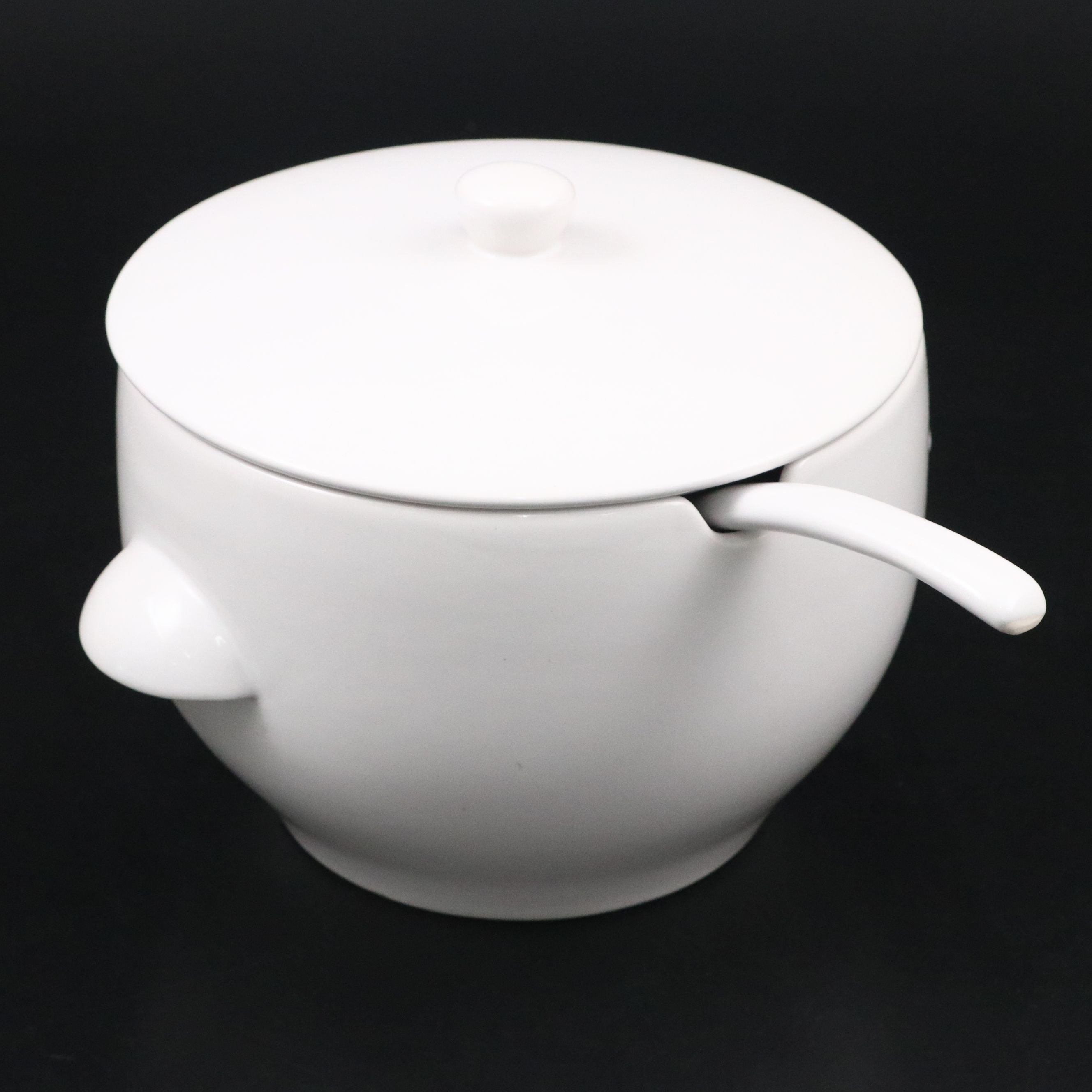 Pottery Barn White Ceramic Soup Tureen and Ladle