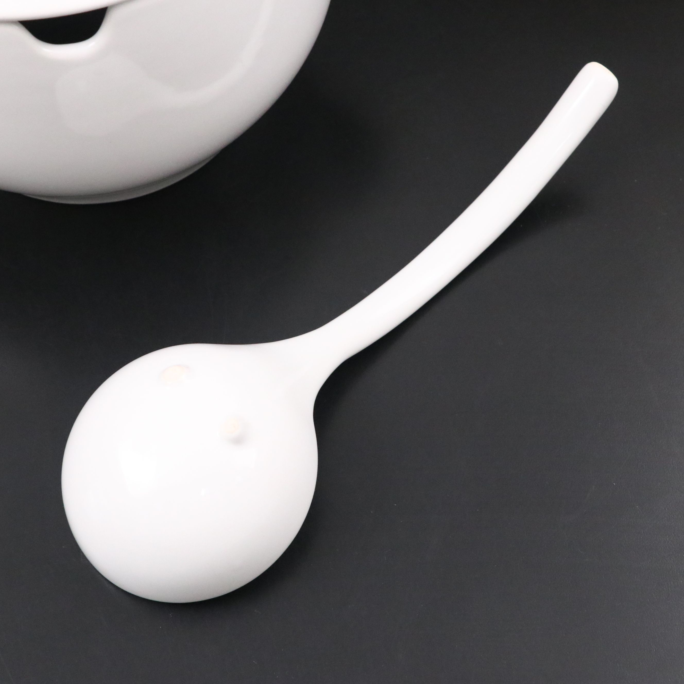 Pottery Barn White Ceramic Soup Tureen and Ladle