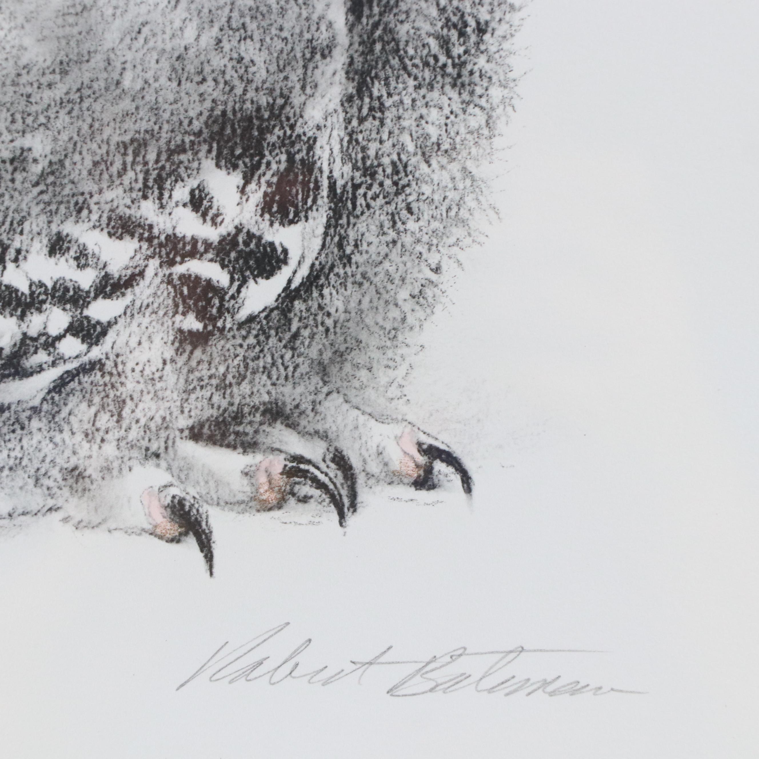 Robert Bateman Halftone "Young Snowy Owl"