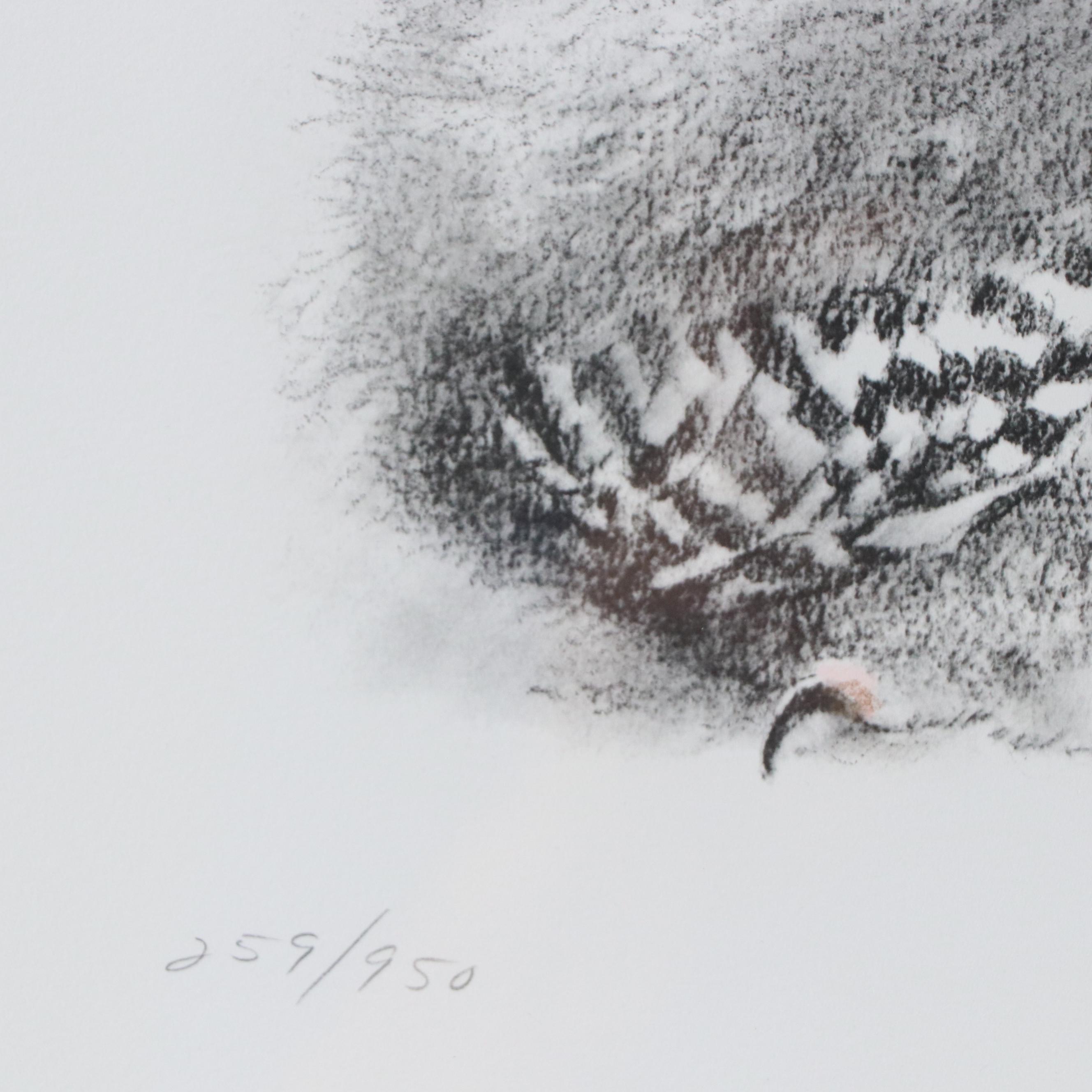 Robert Bateman Halftone "Young Snowy Owl"