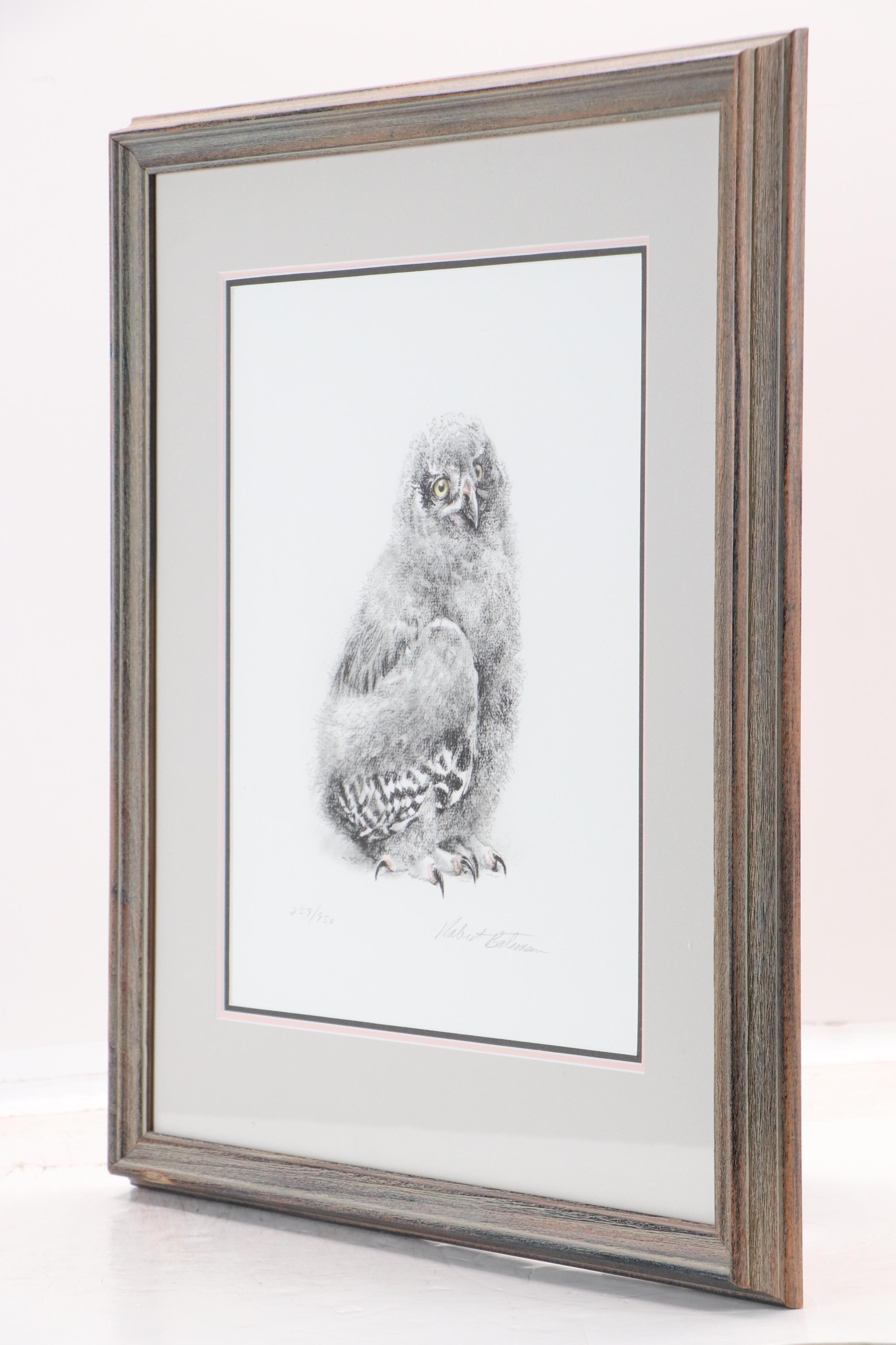 Robert Bateman Halftone "Young Snowy Owl"