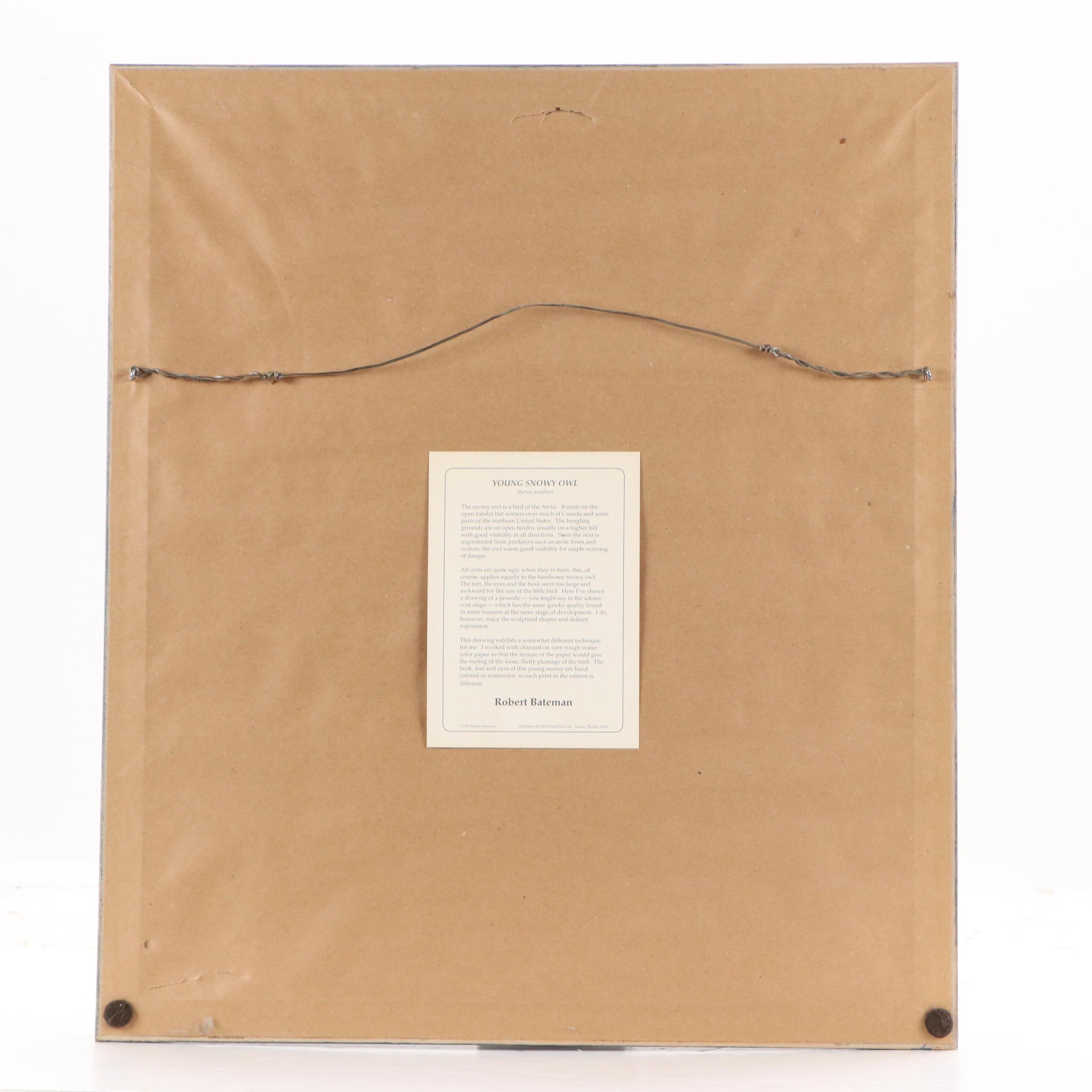 Robert Bateman Halftone "Young Snowy Owl"