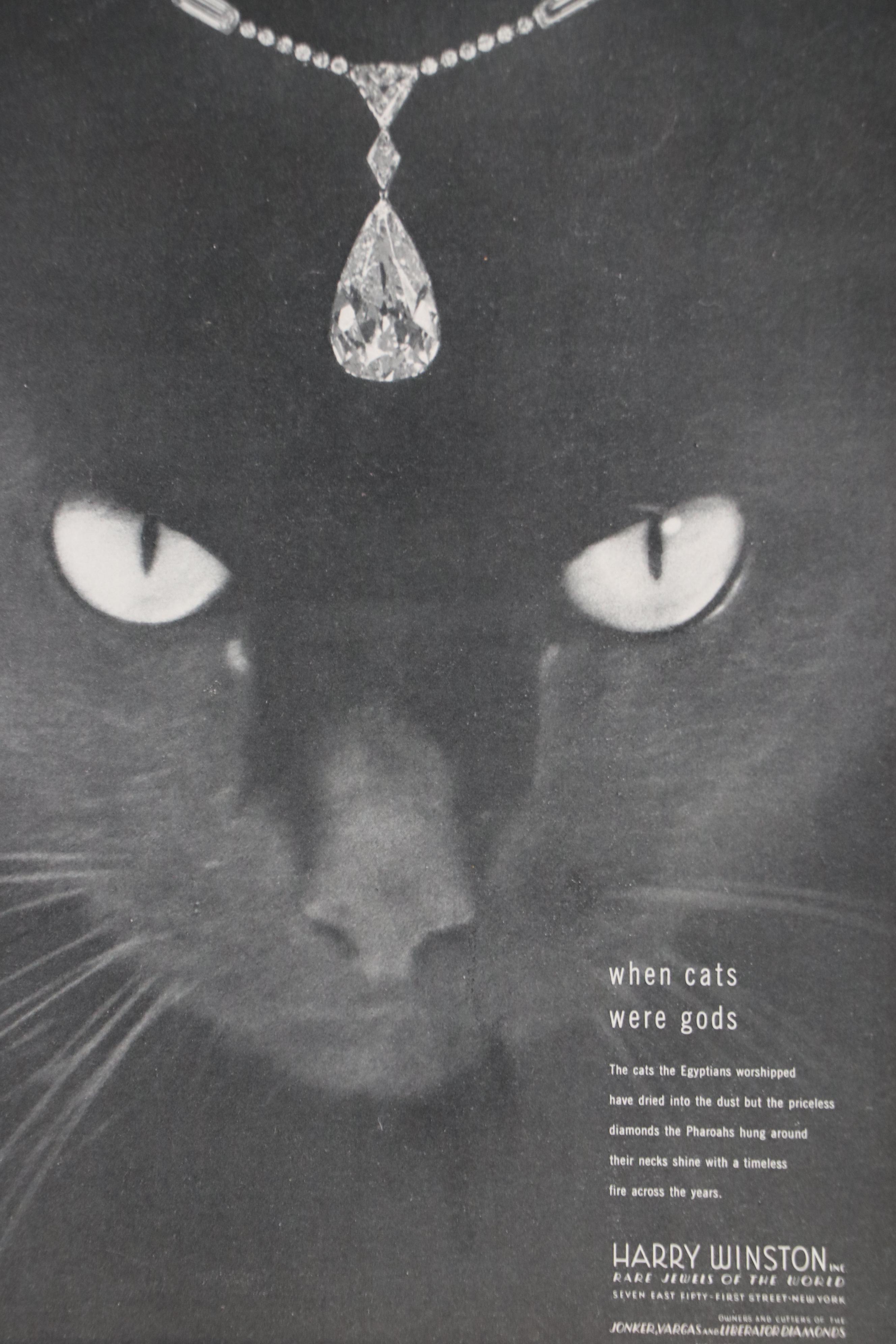 Jewelry Advertisements with Cats for Harry Winston, Rolex and Van Cleef & Arpels