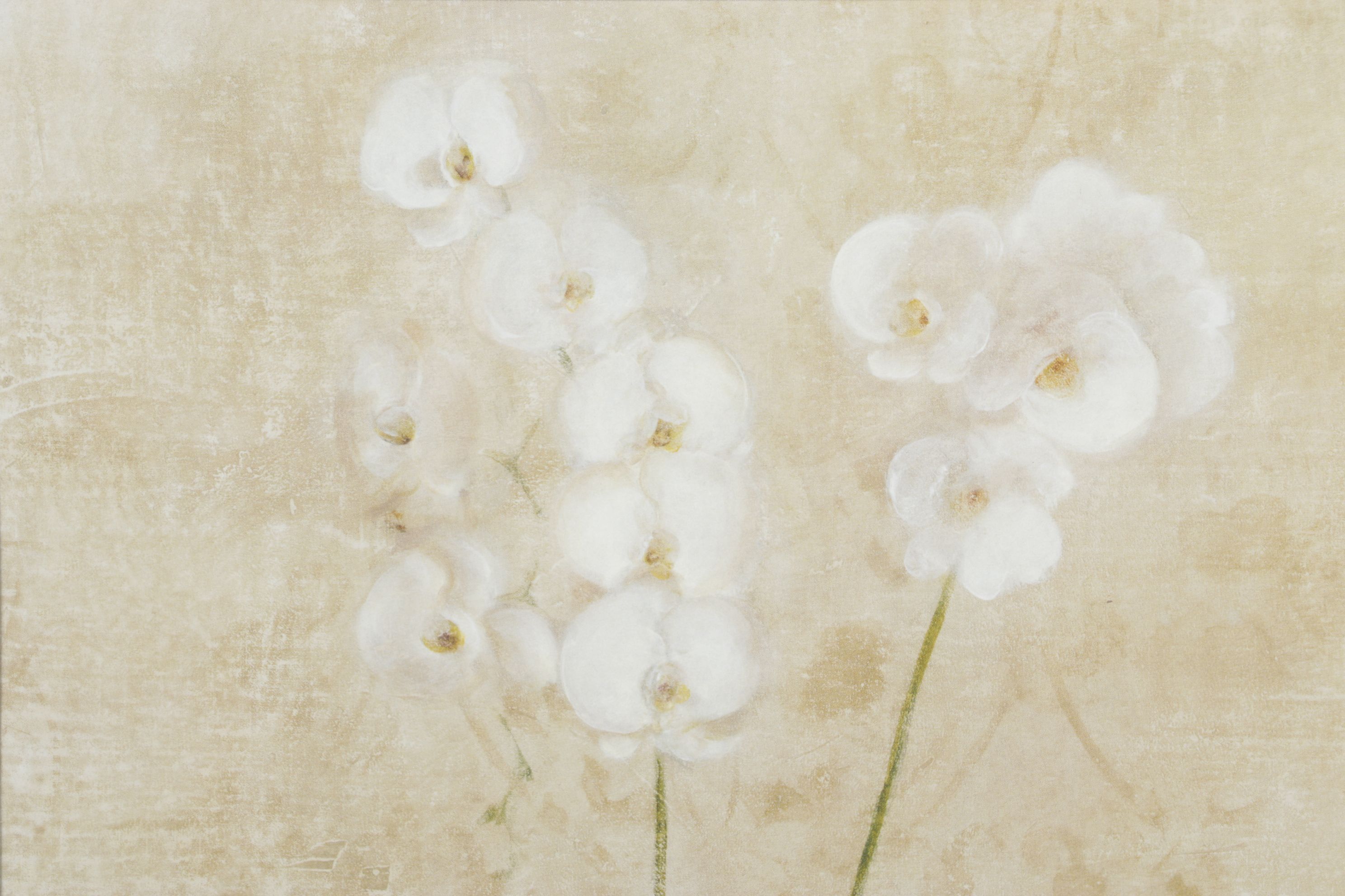 Offset Lithograph After Cheri Blum "Orchid Cool", 1999