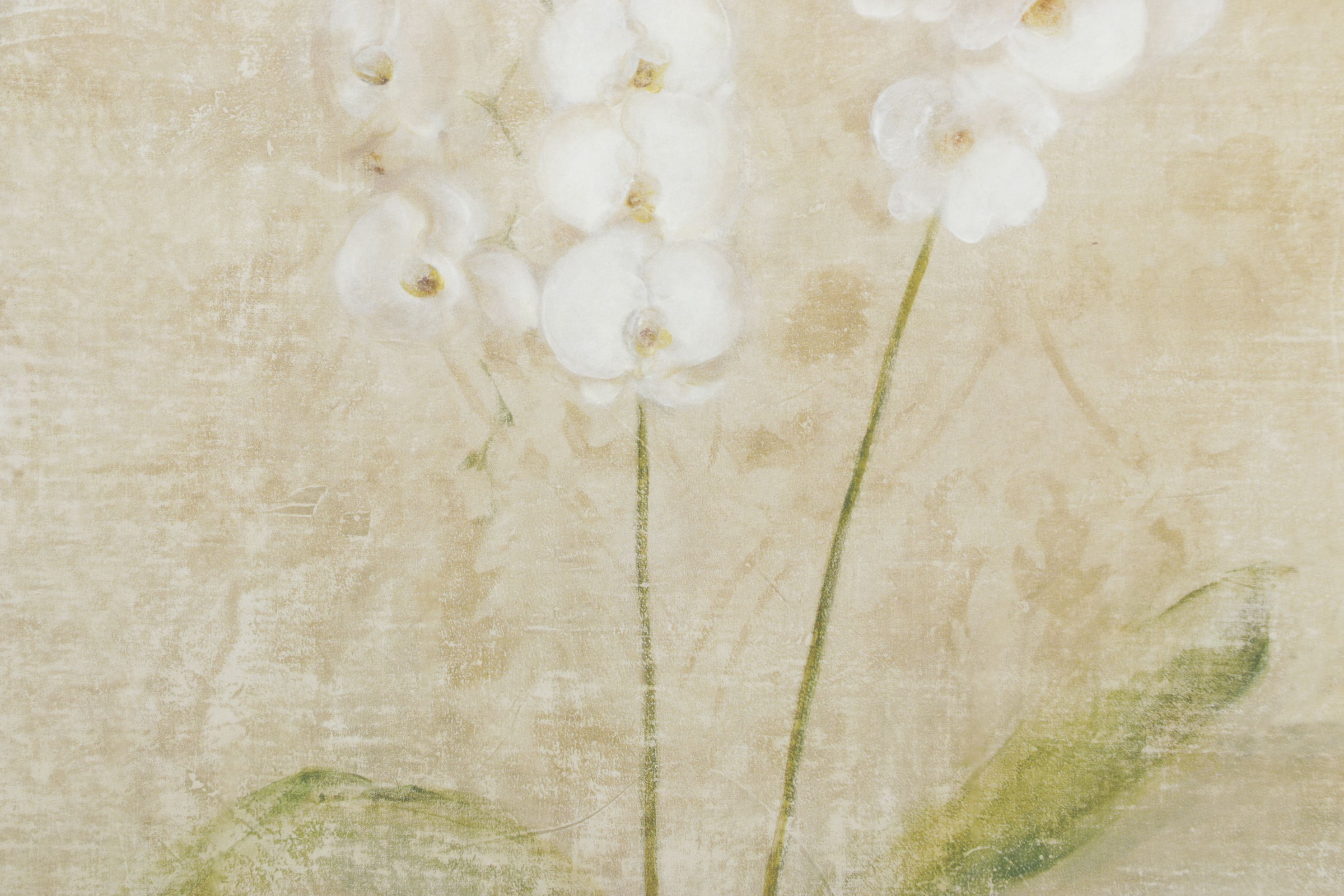 Offset Lithograph After Cheri Blum "Orchid Cool", 1999