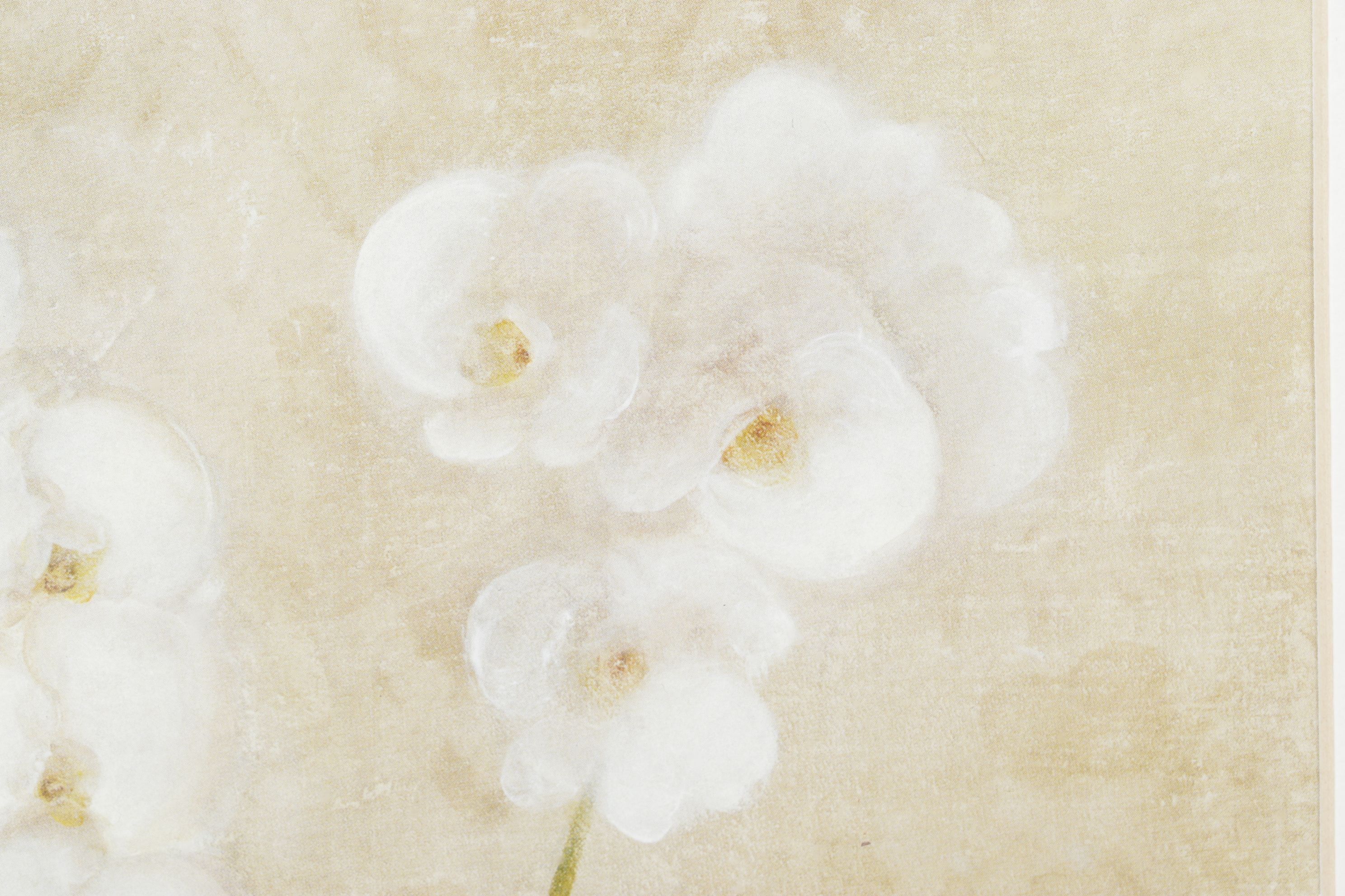 Offset Lithograph After Cheri Blum "Orchid Cool", 1999