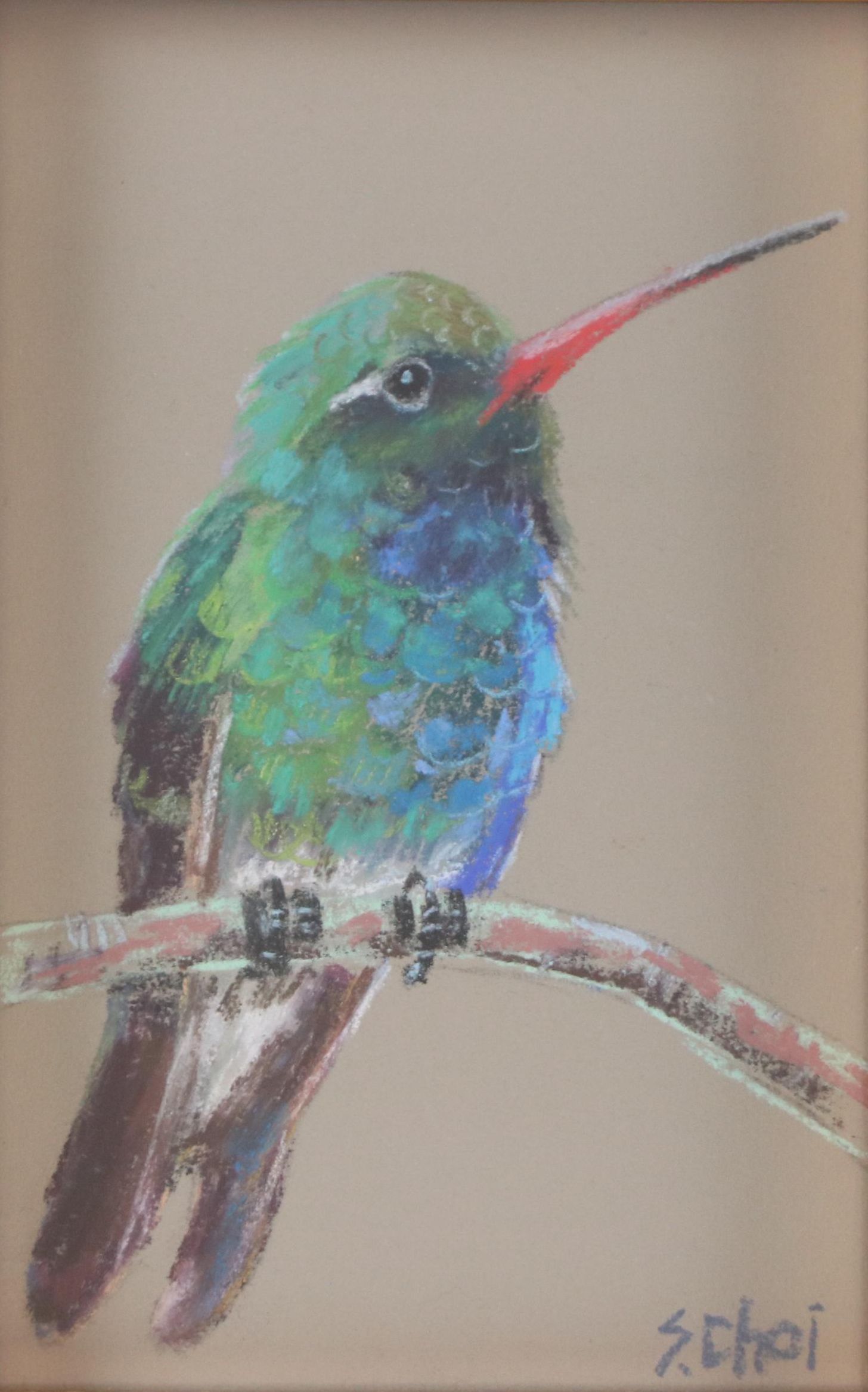 Sunkyung Choi Pastel Drawing of Broad-Billed Hummingbird, 21st Century