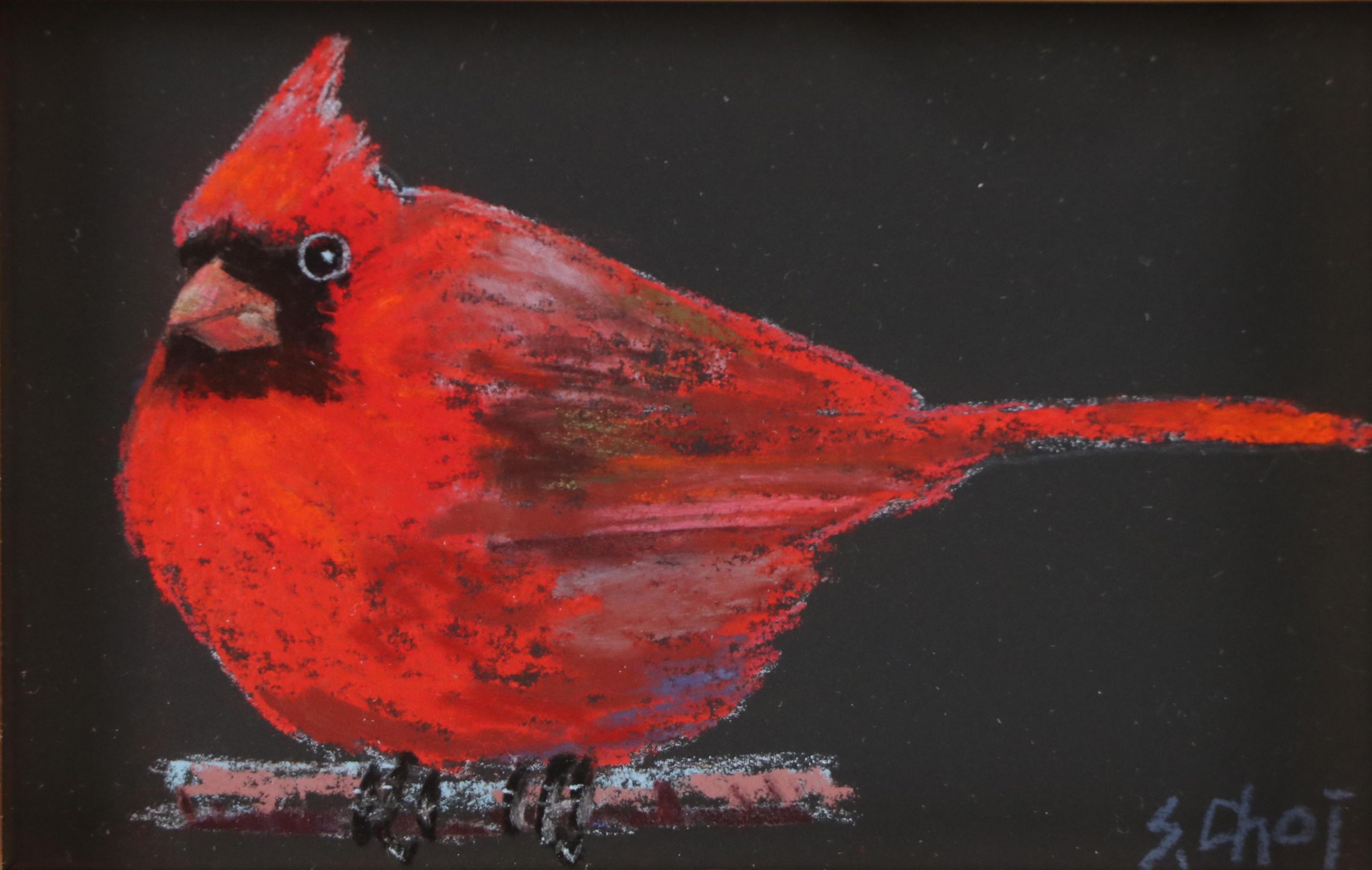 Sunkyung Choi Pastel Drawing of Cardinal, 21st Century