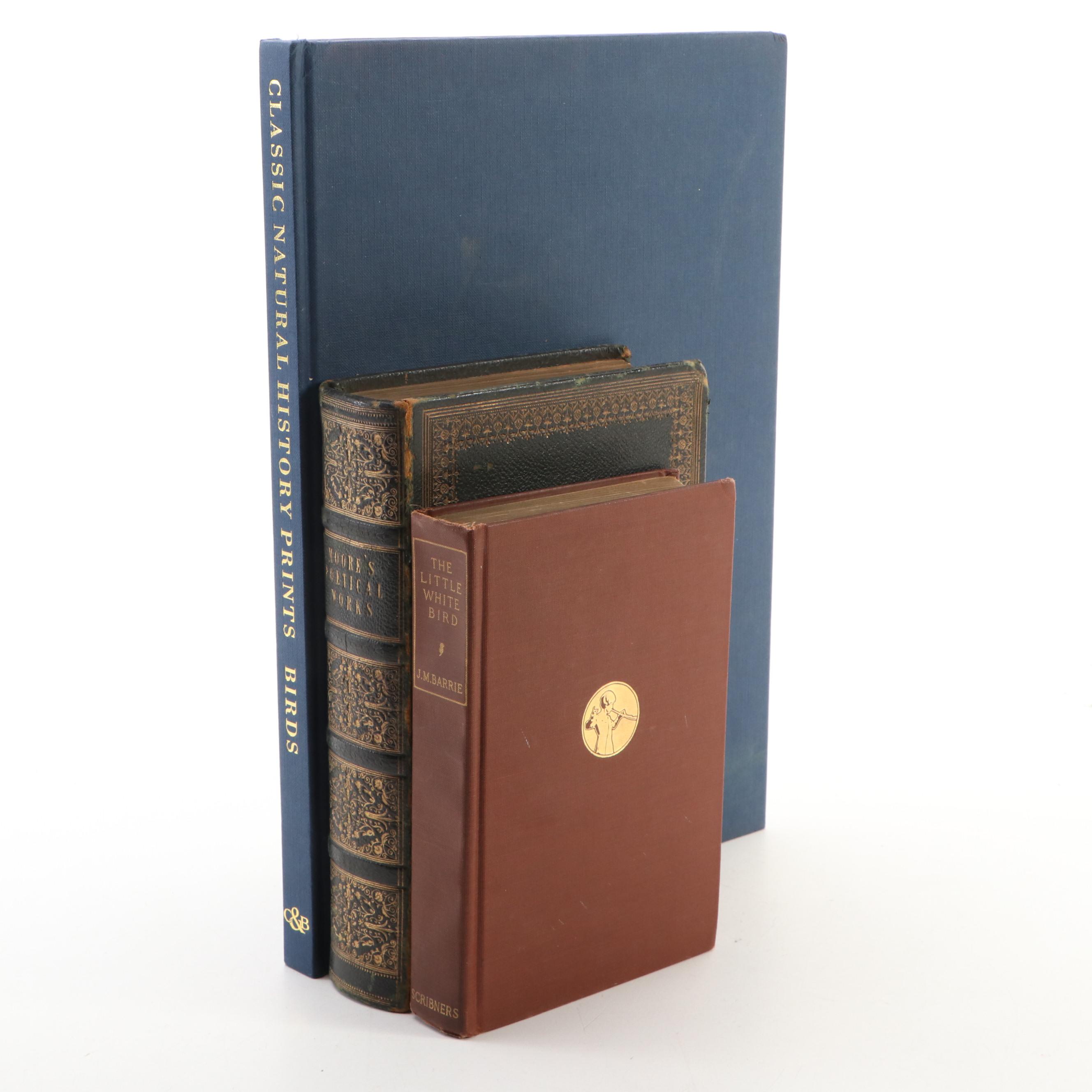 Arthur Rackham Illustrated "Little White Bird" by J. M. Barrie and More Books