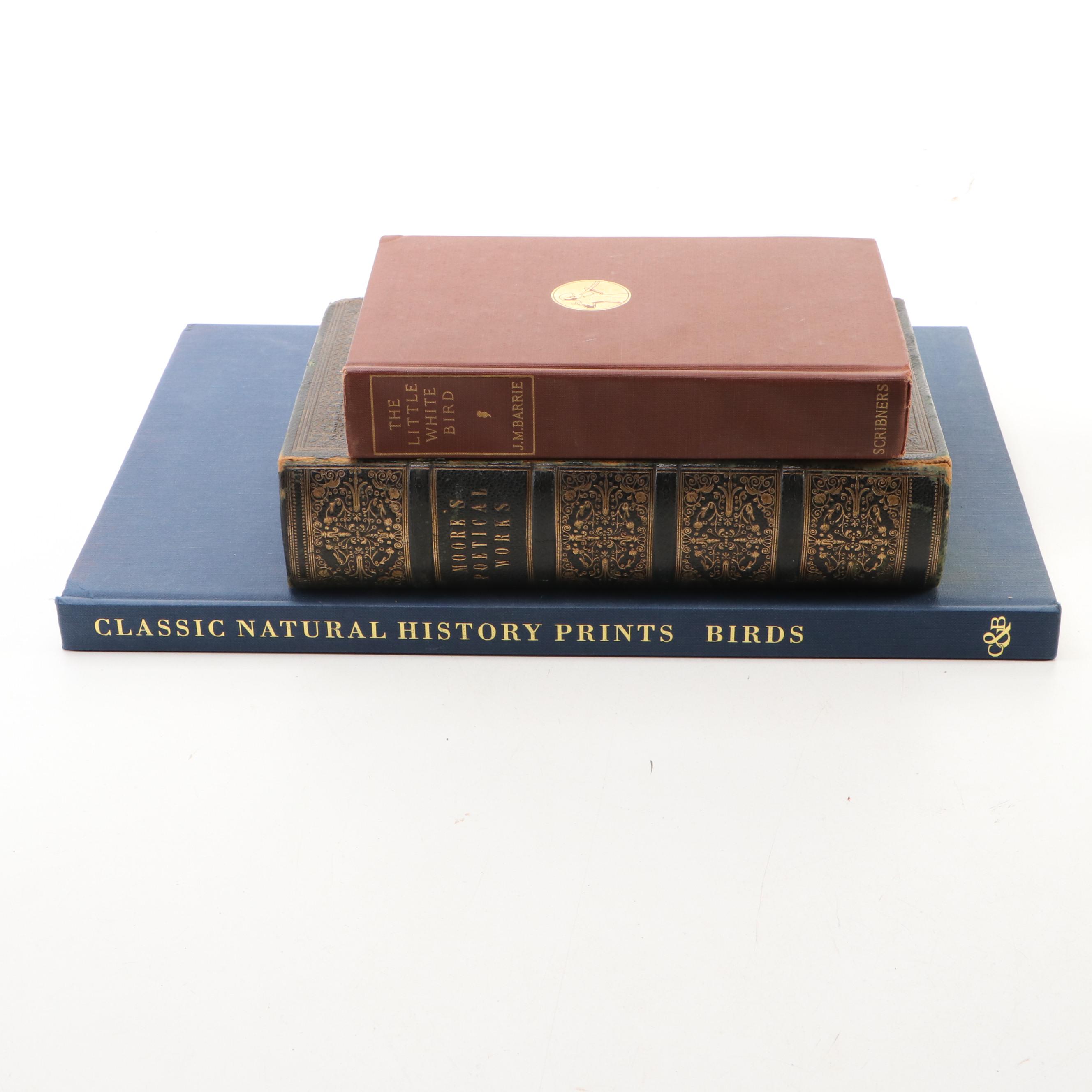 Arthur Rackham Illustrated "Little White Bird" by J. M. Barrie and More Books