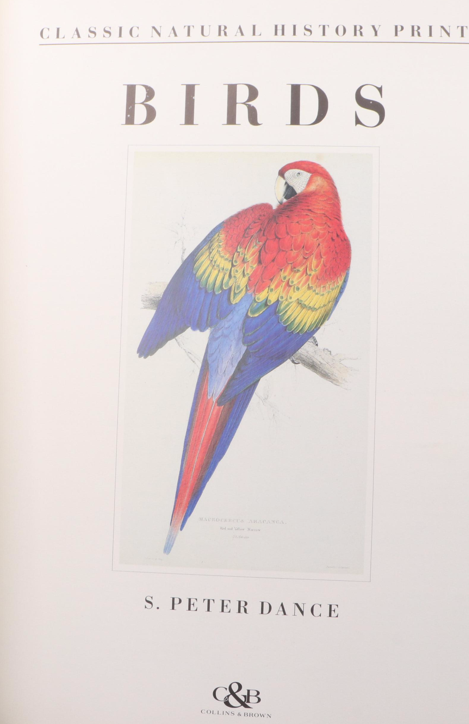 Arthur Rackham Illustrated "Little White Bird" by J. M. Barrie and More Books