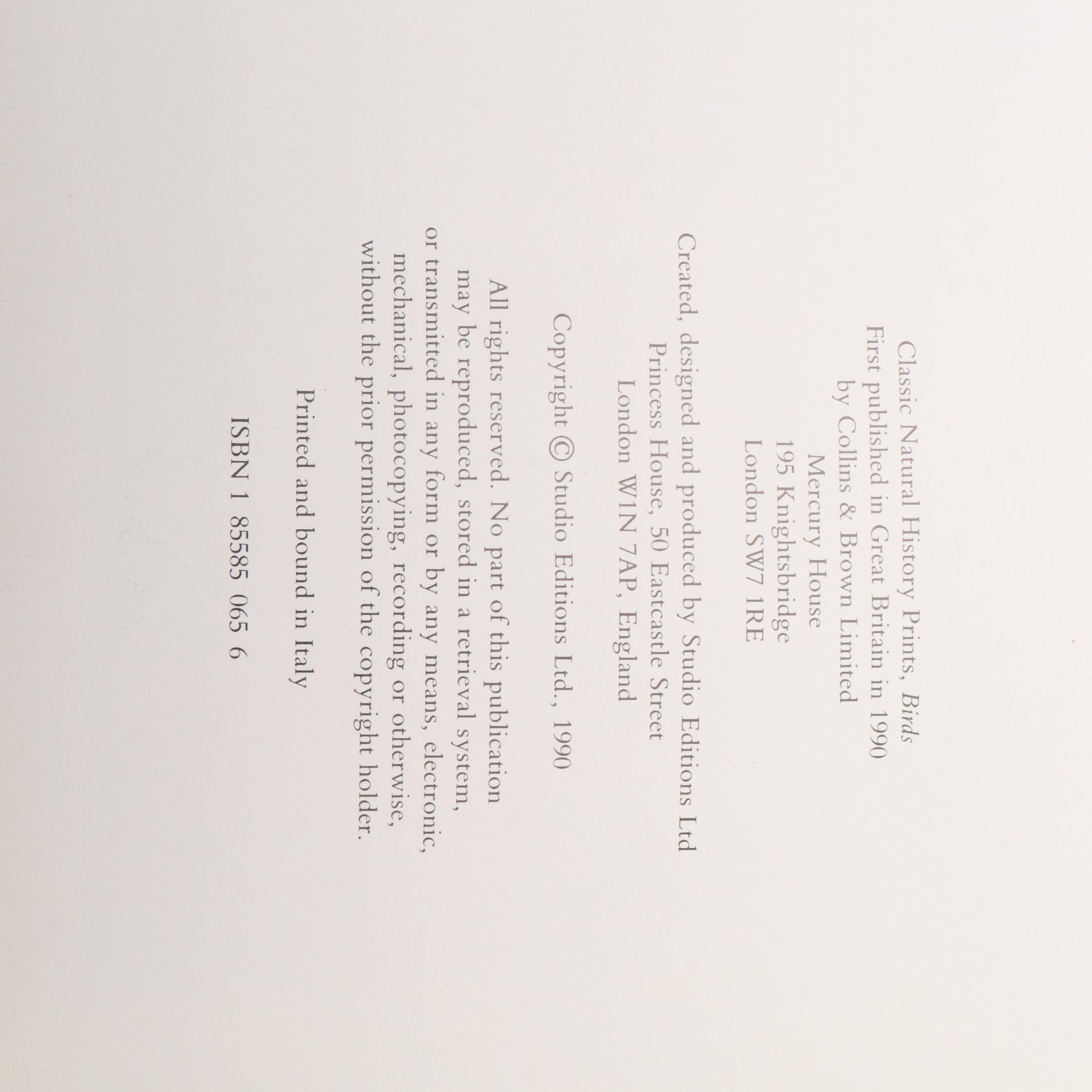 Arthur Rackham Illustrated "Little White Bird" by J. M. Barrie and More Books