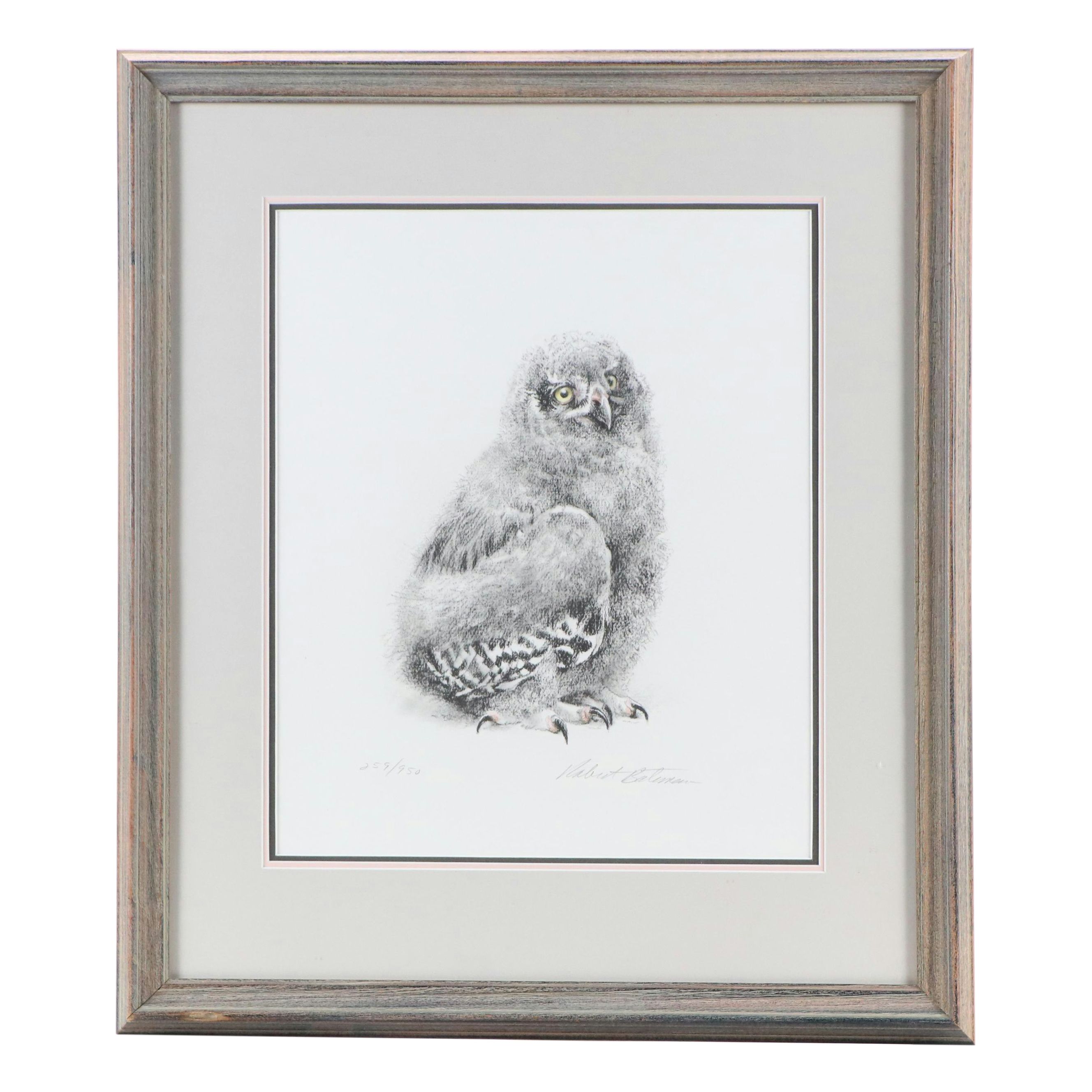 Robert Bateman Halftone "Young Snowy Owl"