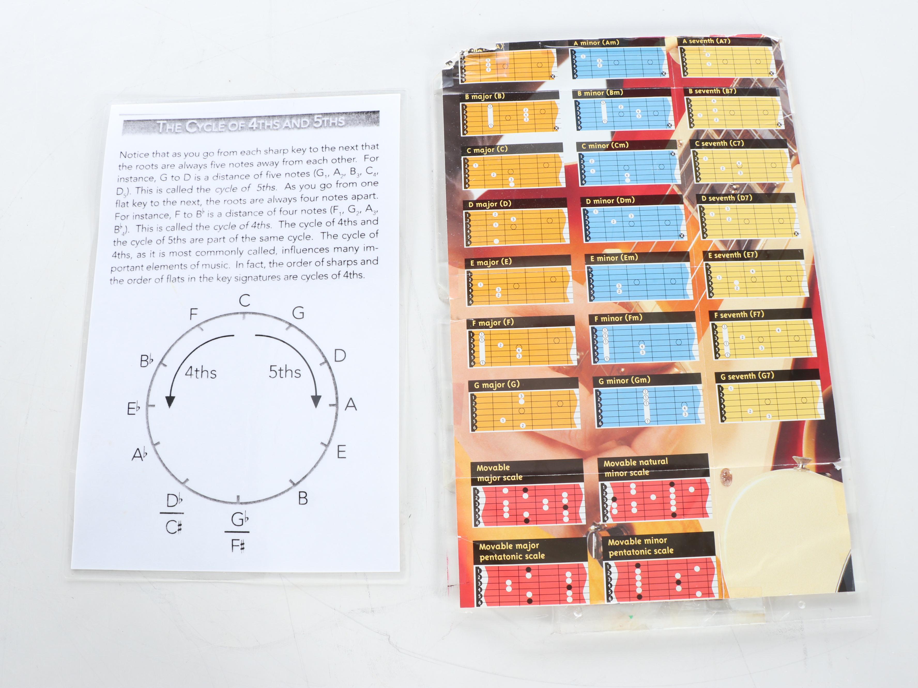 Epiphone Casino Natural Finish Hollowbody Electric Guitar, 2001