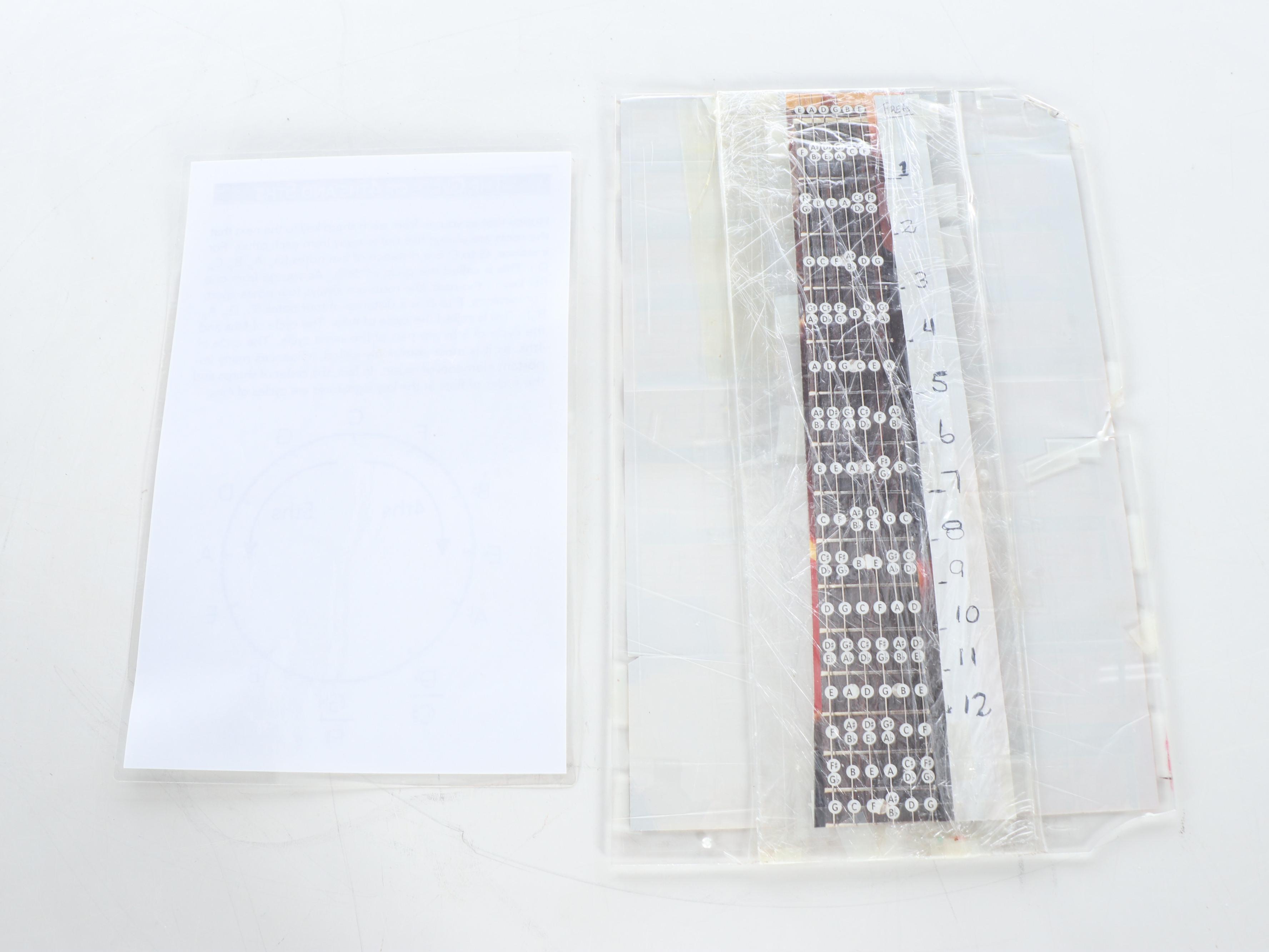 Epiphone Casino Natural Finish Hollowbody Electric Guitar, 2001