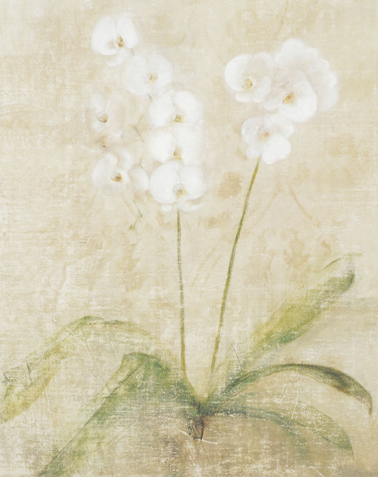 Offset Lithograph After Cheri Blum "Orchid Cool", 1999