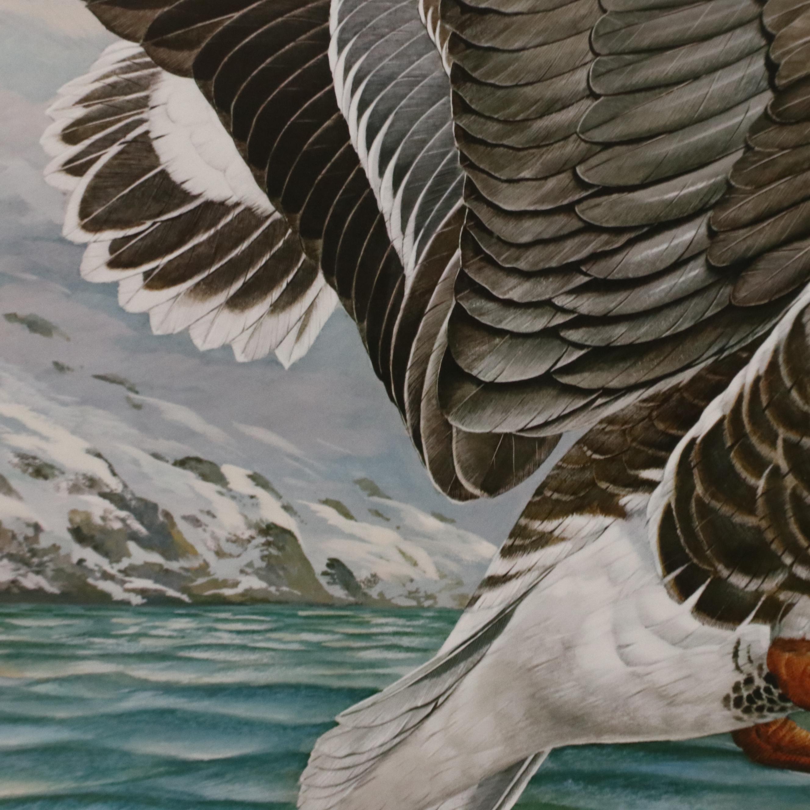 Basil Ede Offset Lithograph "Greater White-fronted Goose"