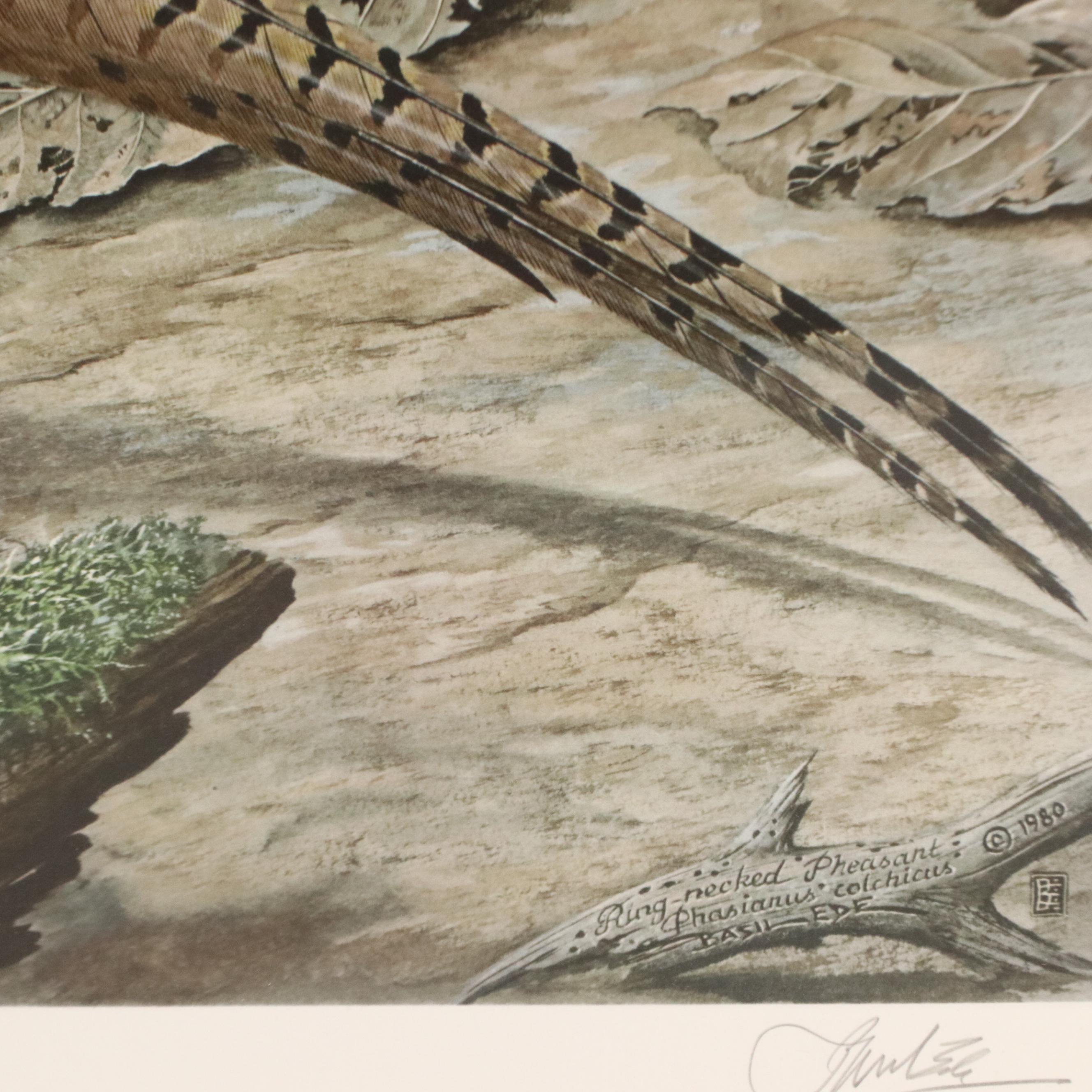 Basil Ede Offset Lithograph "Ring-necked Pheasant"