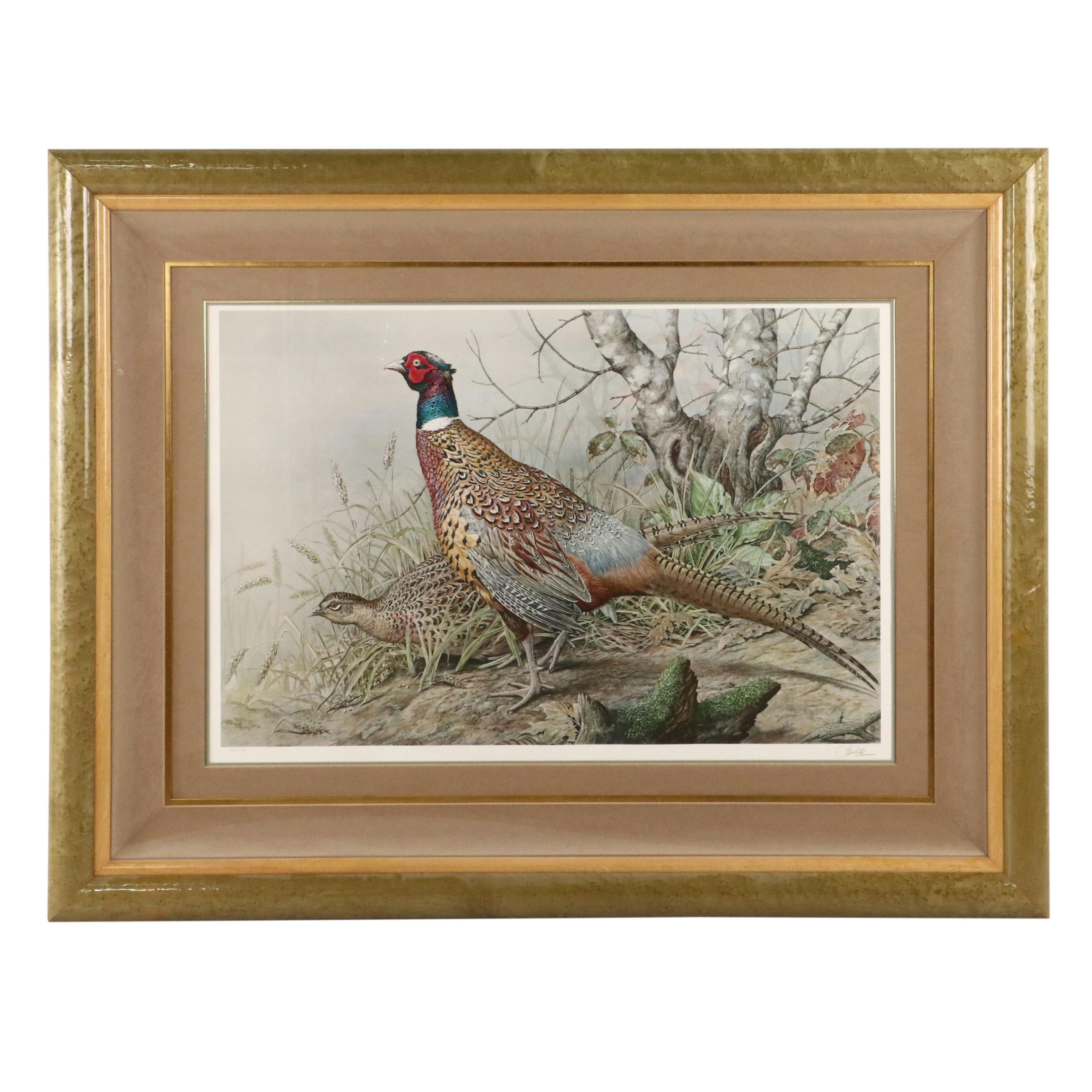 Basil Ede Offset Lithograph "Ring-necked Pheasant"