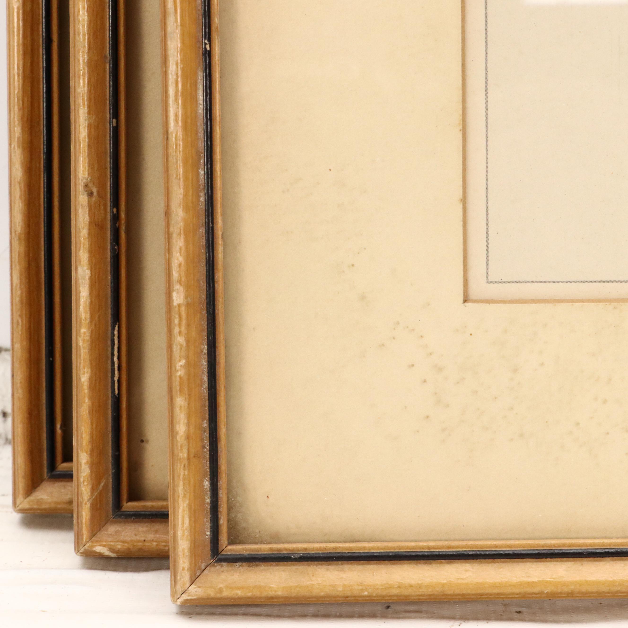 Offset Lithographs of Chinese Scenes with Figures, Fish, and Birds, 20th Century