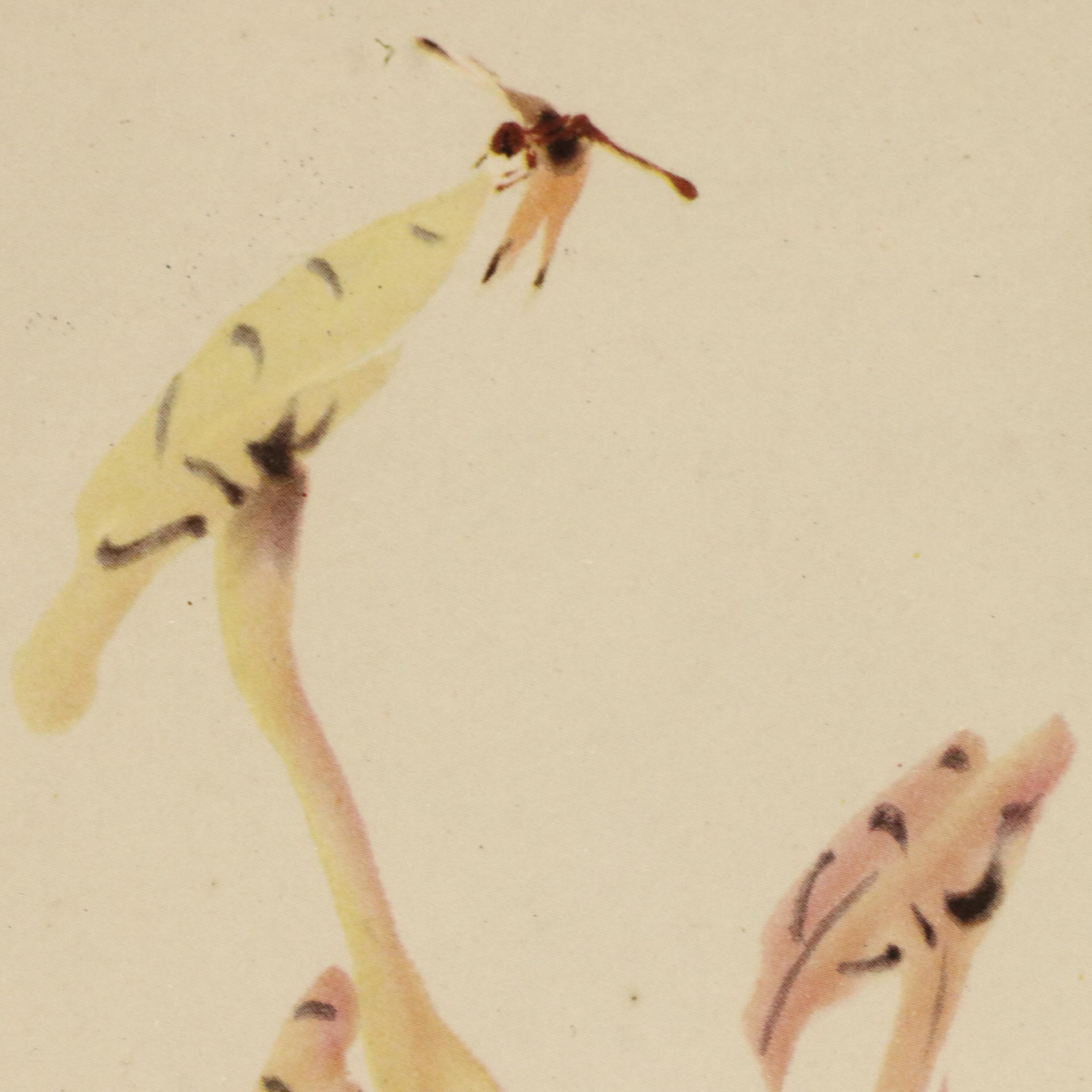 Offset Lithographs of Chinese Scenes with Figures, Fish, and Birds, 20th Century