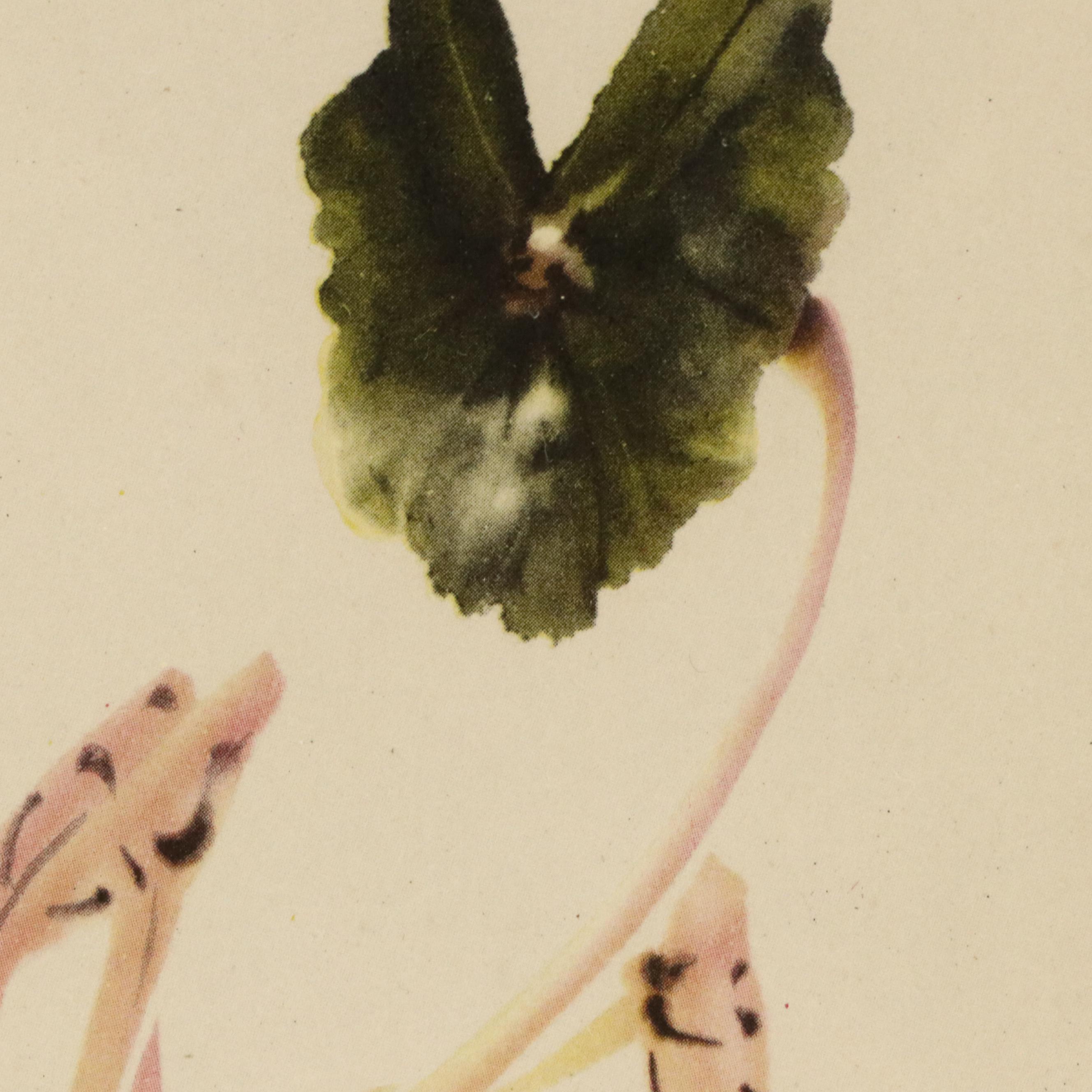 Offset Lithographs of Chinese Scenes with Figures, Fish, and Birds, 20th Century