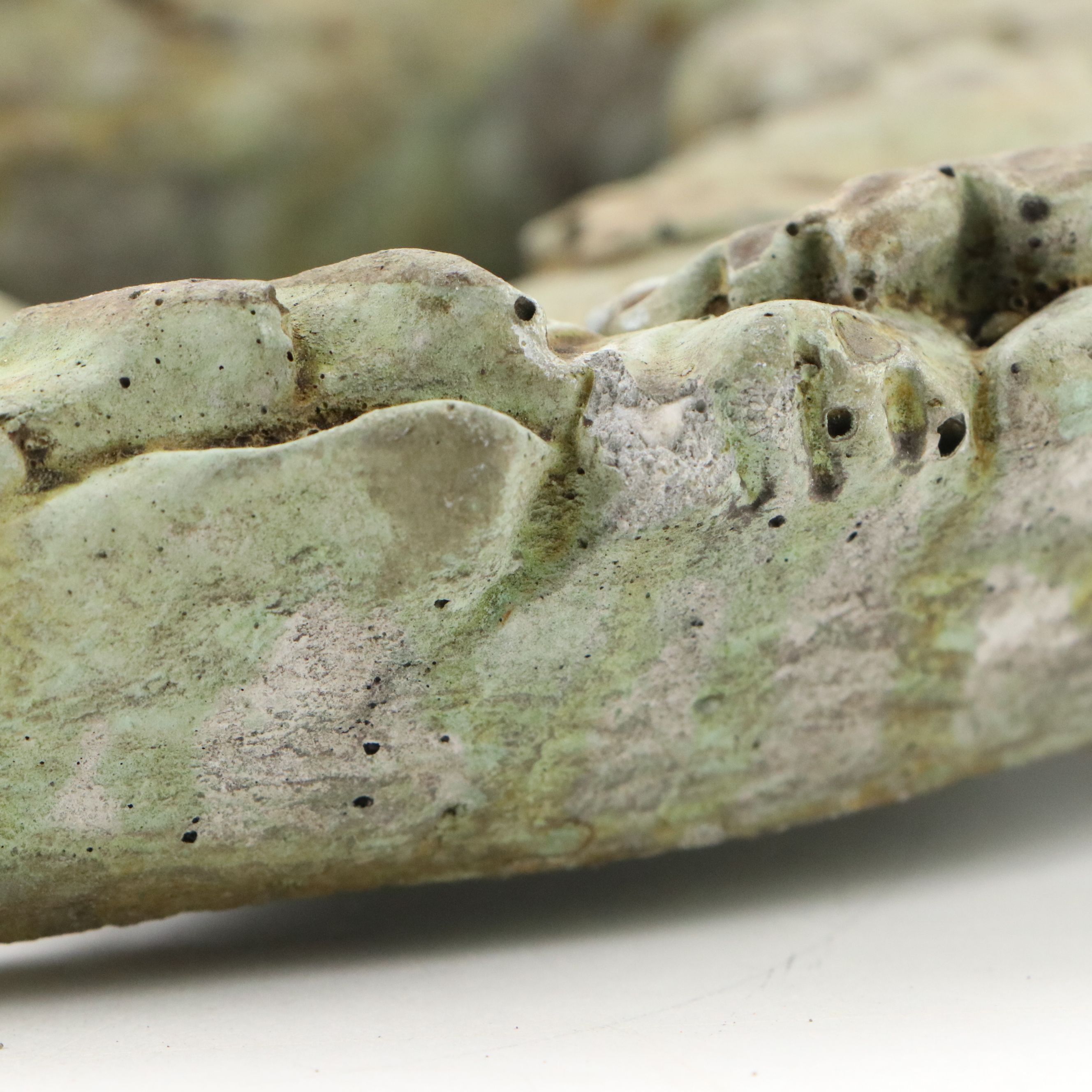 Unique Stone Co. Rustic Oval Bird and Grape Vine Wall Plaque