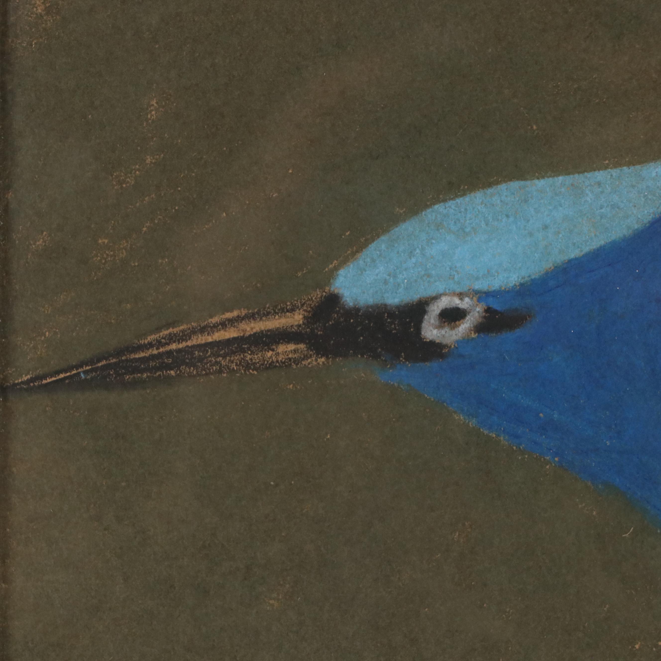 Achmann Stylized Chalk Pastel Drawing of Bird with Blue and Black Plumage