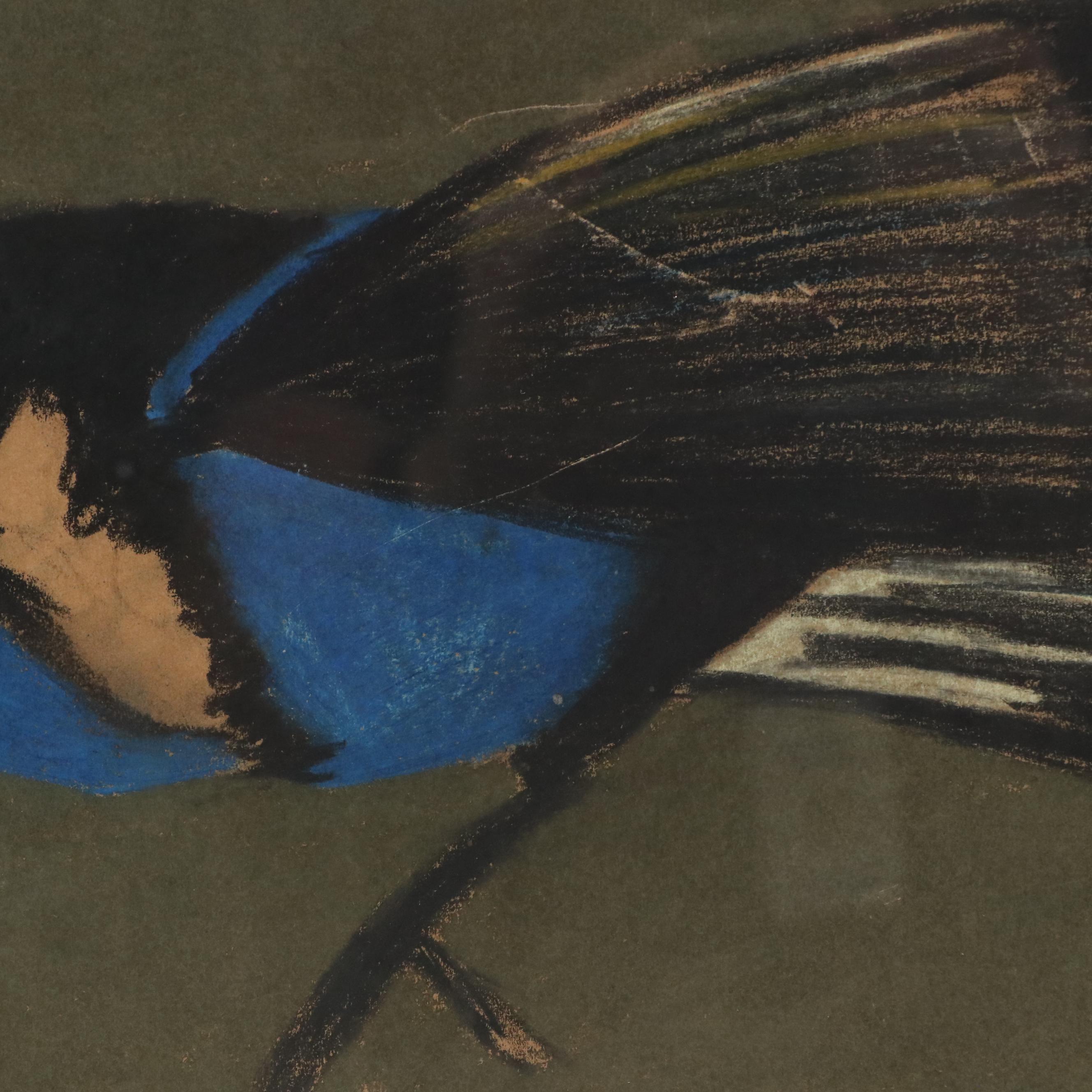 Achmann Stylized Chalk Pastel Drawing of Bird with Blue and Black Plumage