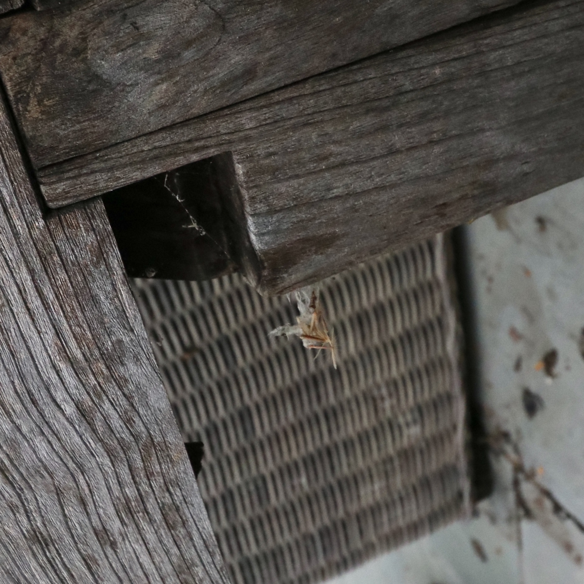 Restoration Hardware PE Rattan Outdoor Seating with Canvas Cushions, & Tables