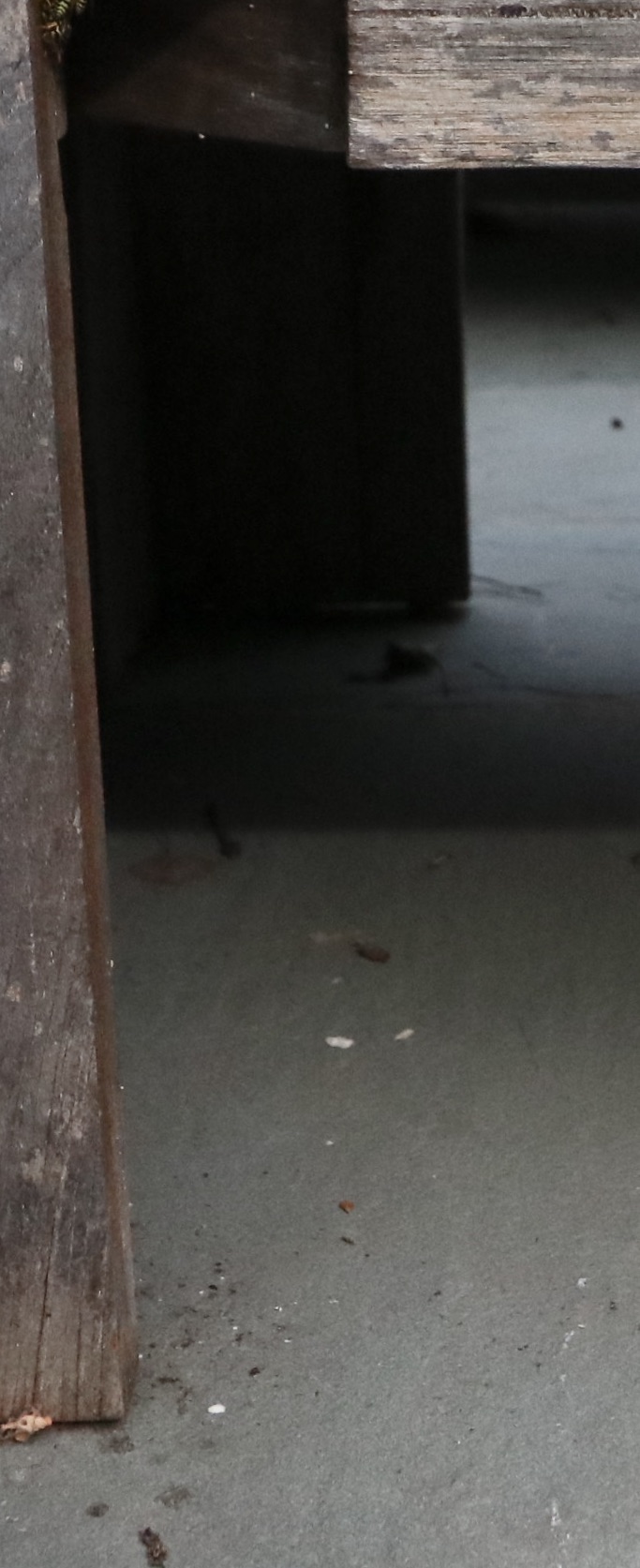 Restoration Hardware PE Rattan Outdoor Seating with Canvas Cushions, & Tables