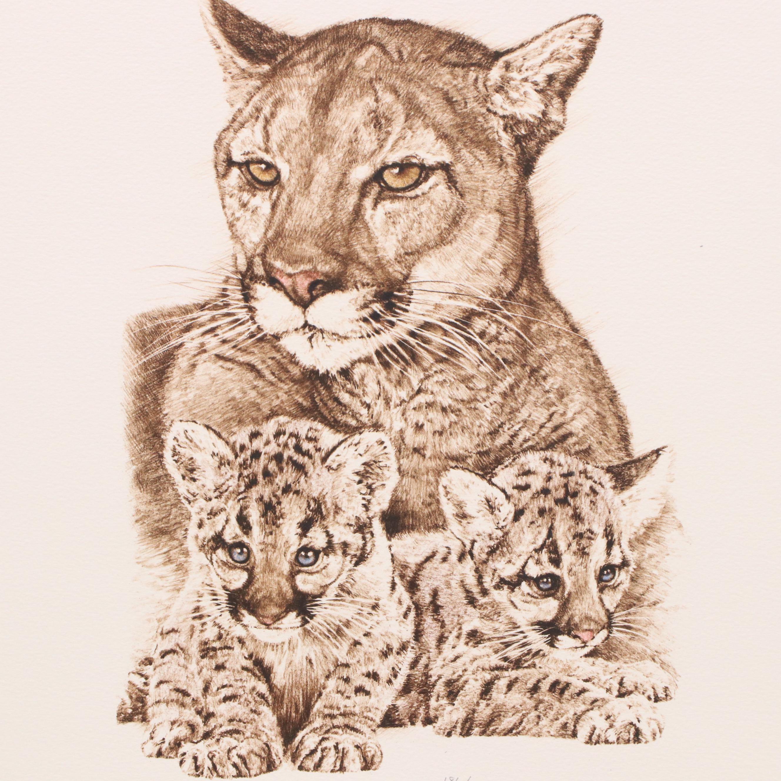 Mill Pond Press North American Wilderness Color Lithograph Portfolio