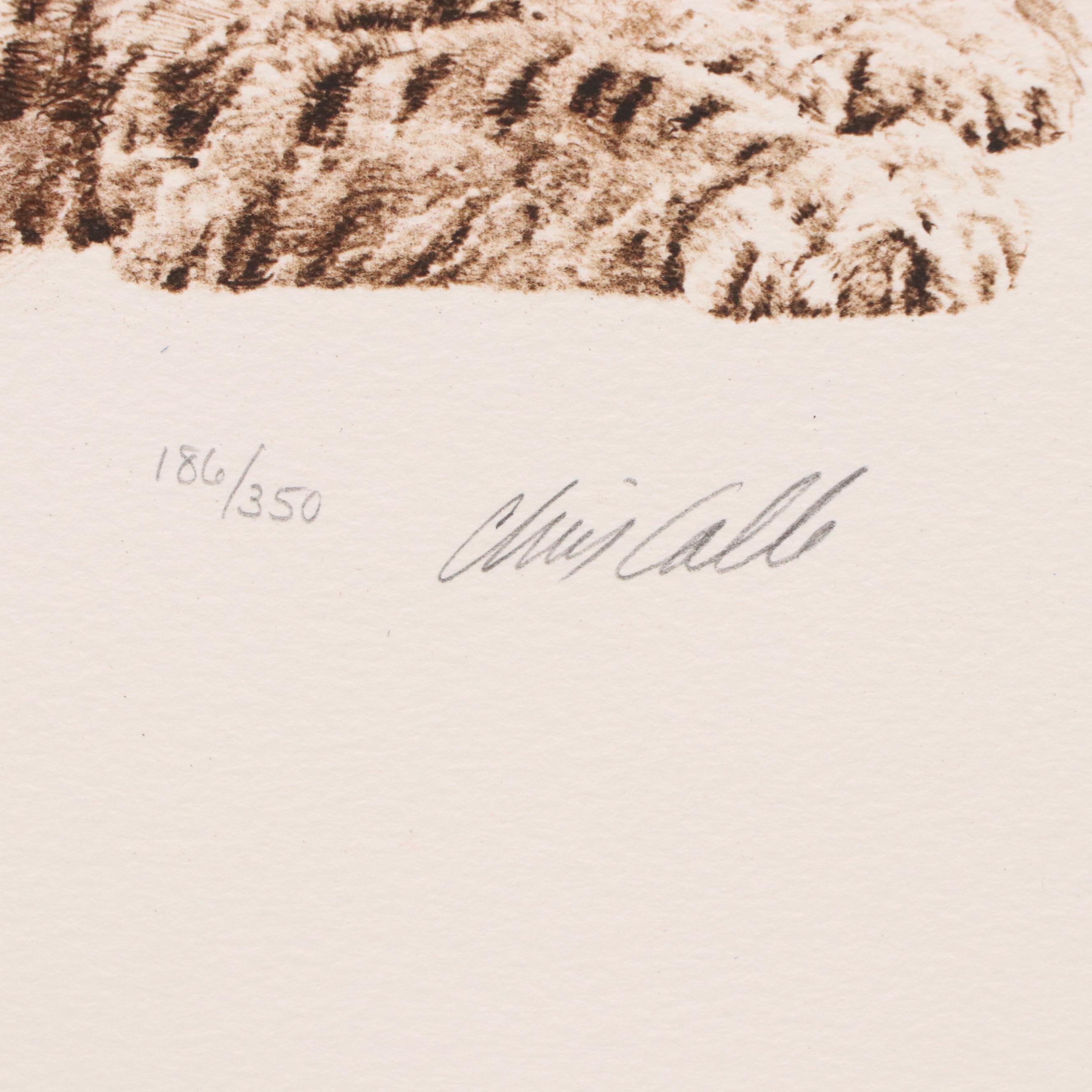 Mill Pond Press North American Wilderness Color Lithograph Portfolio