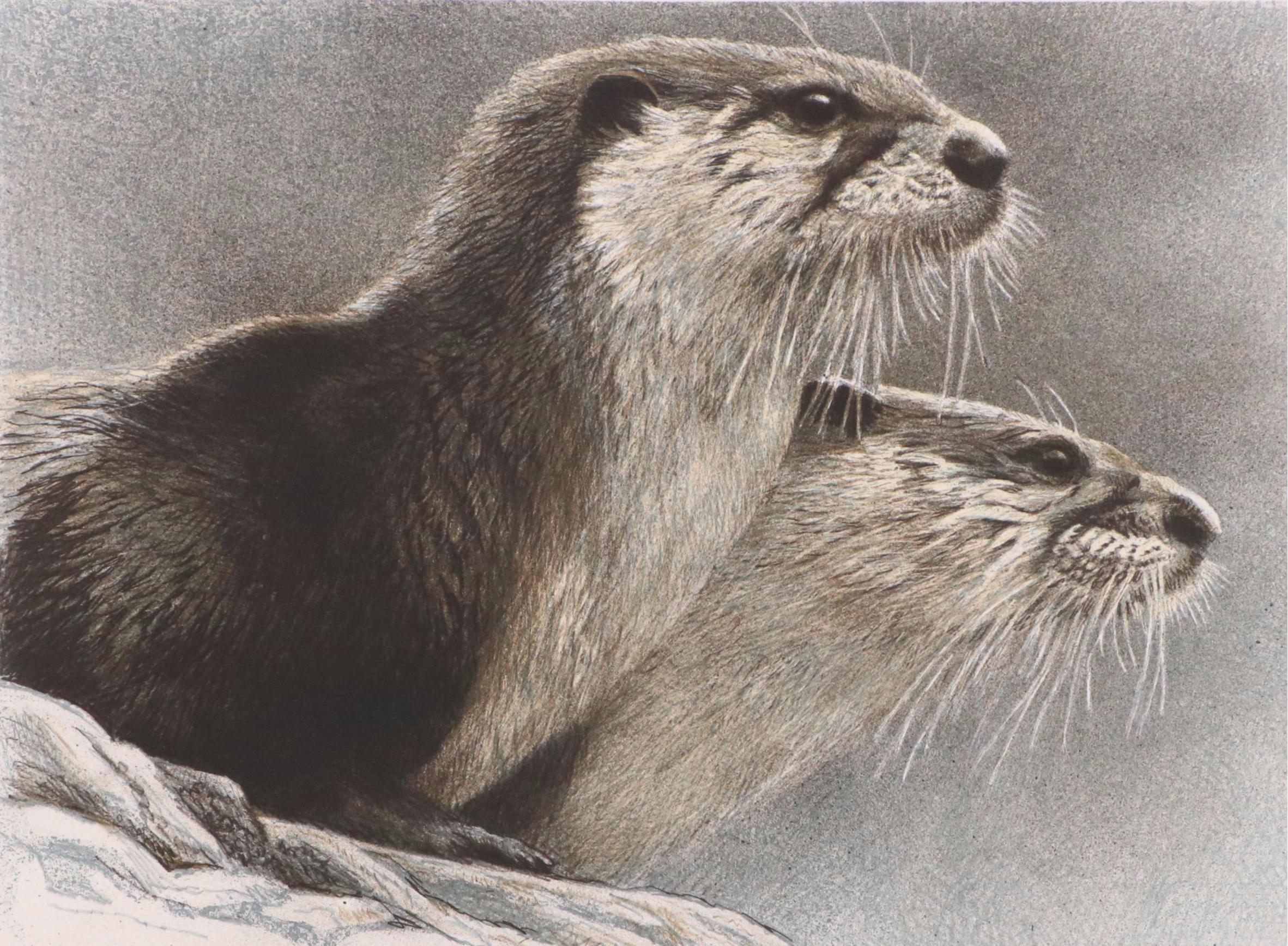 Mill Pond Press North American Wilderness Color Lithograph Portfolio