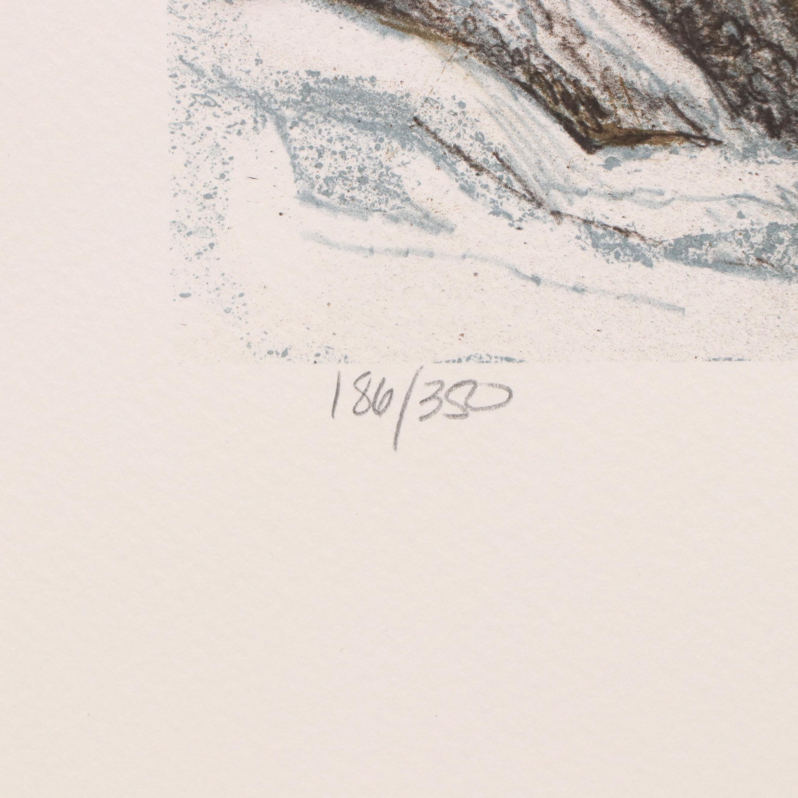 Mill Pond Press North American Wilderness Color Lithograph Portfolio