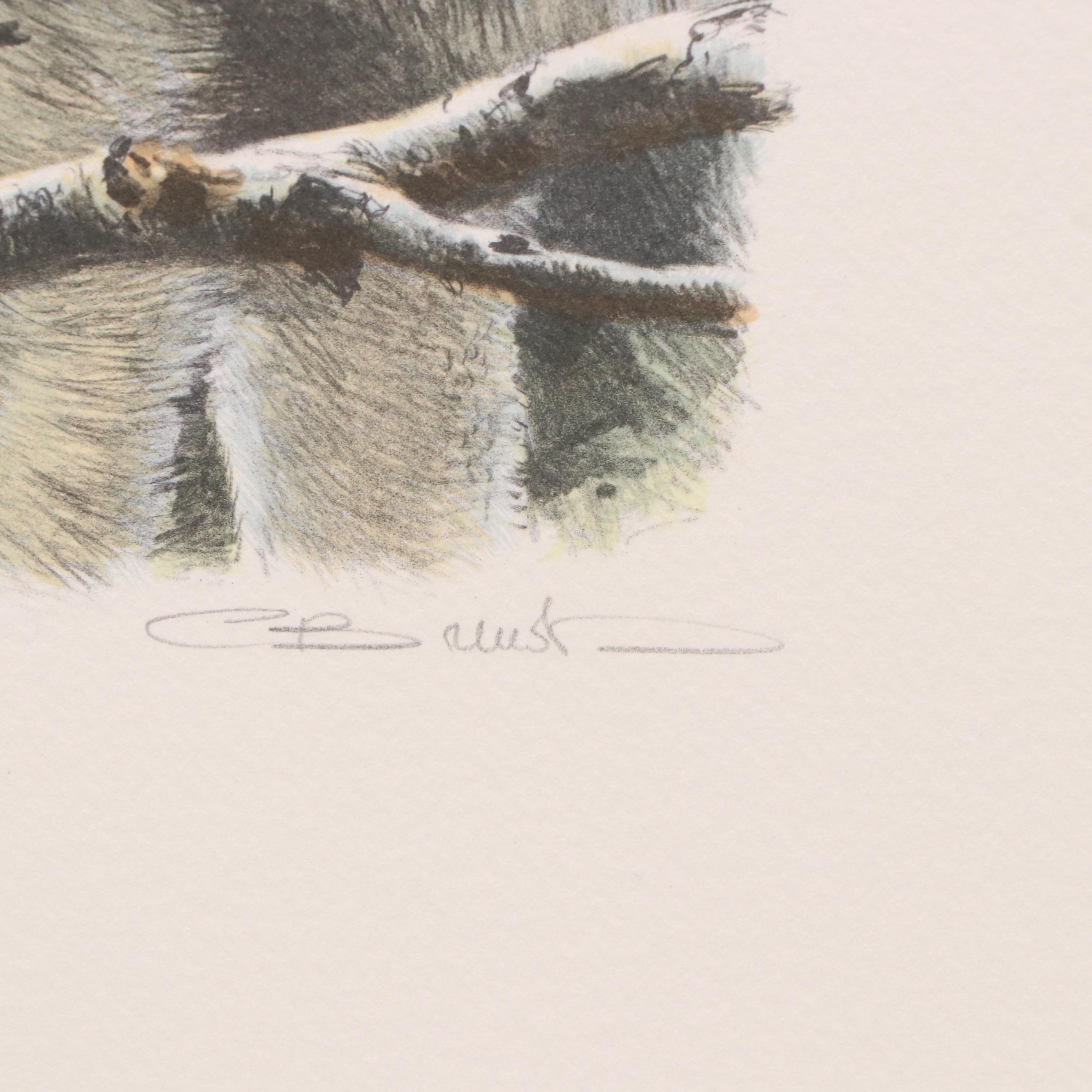 Mill Pond Press North American Wilderness Color Lithograph Portfolio