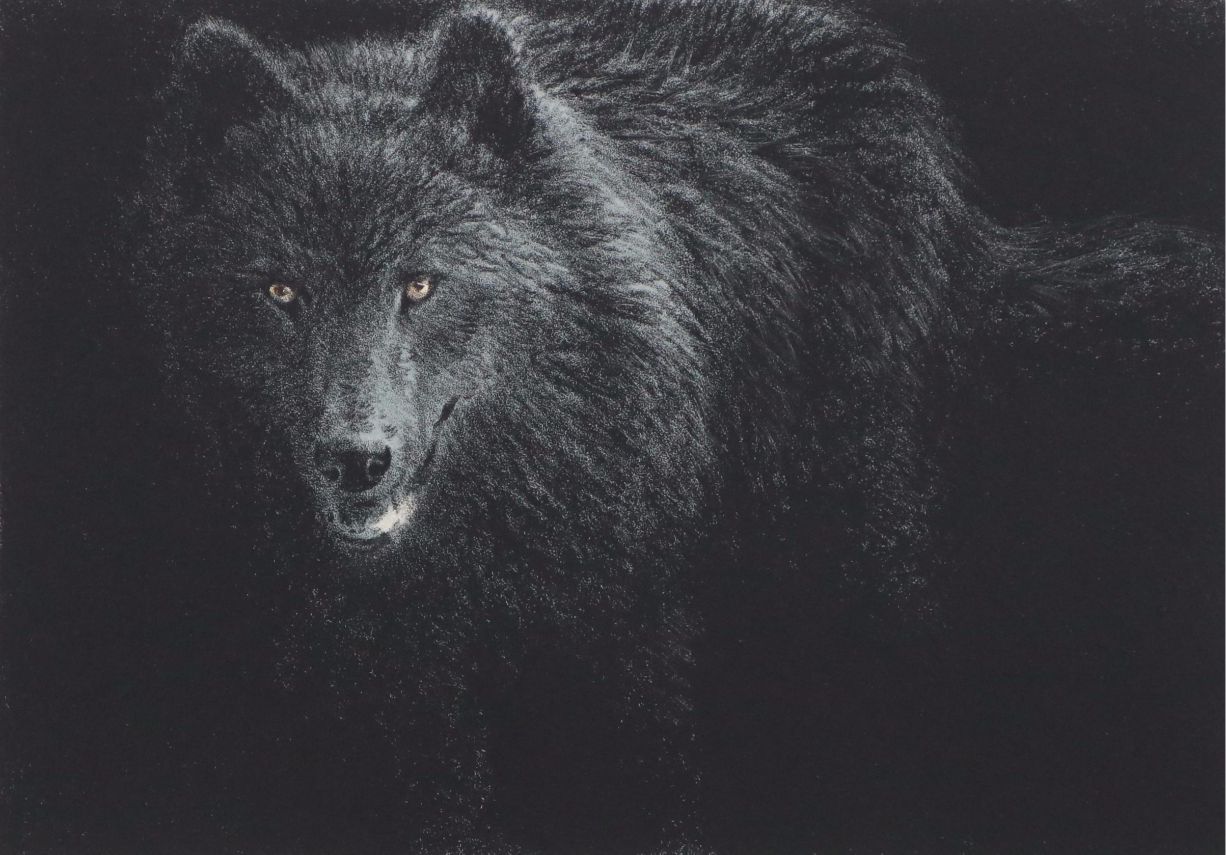 Mill Pond Press North American Wilderness Color Lithograph Portfolio