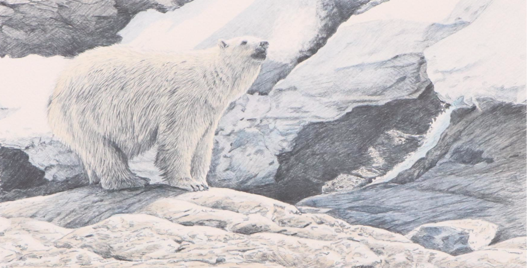 Mill Pond Press North American Wilderness Color Lithograph Portfolio