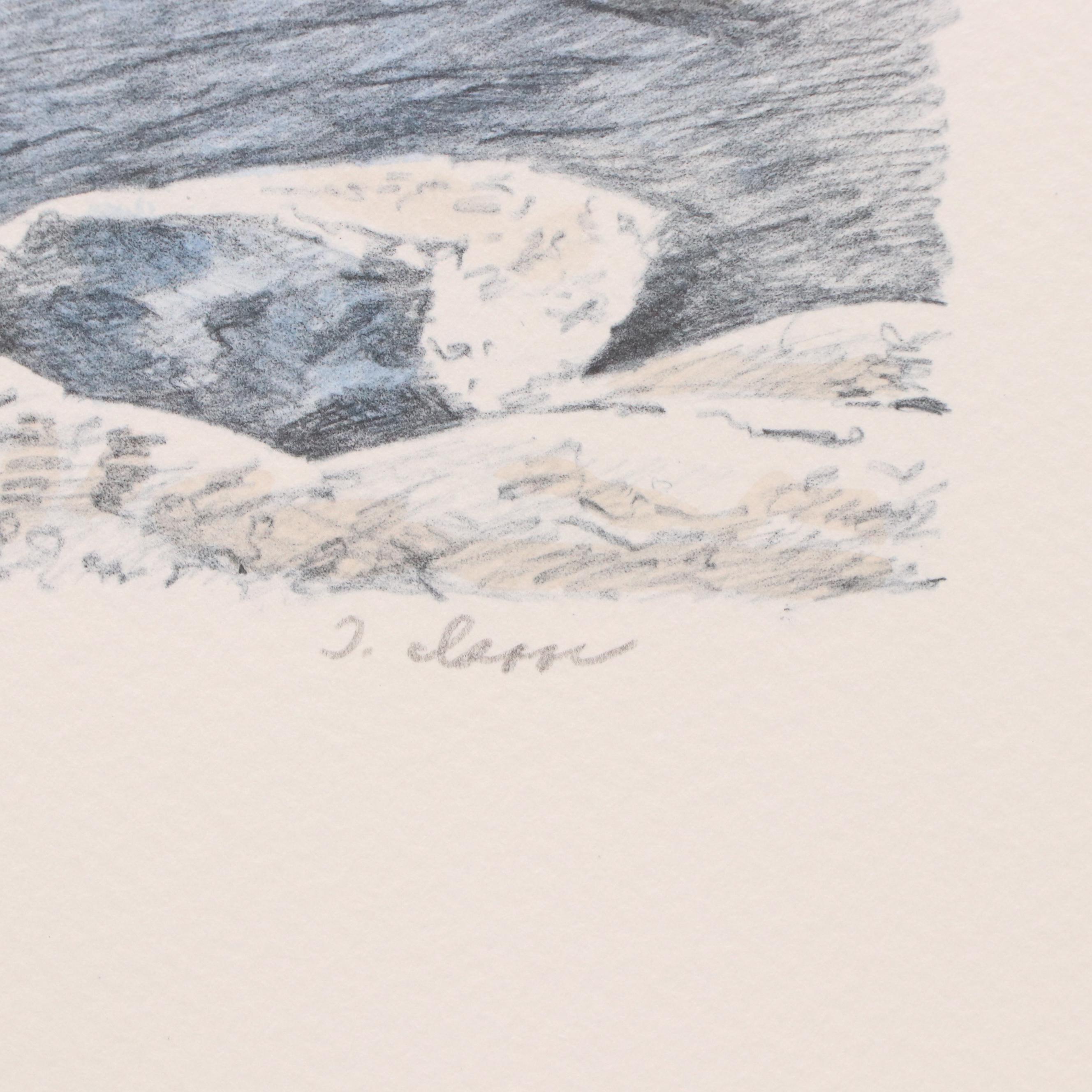 Mill Pond Press North American Wilderness Color Lithograph Portfolio