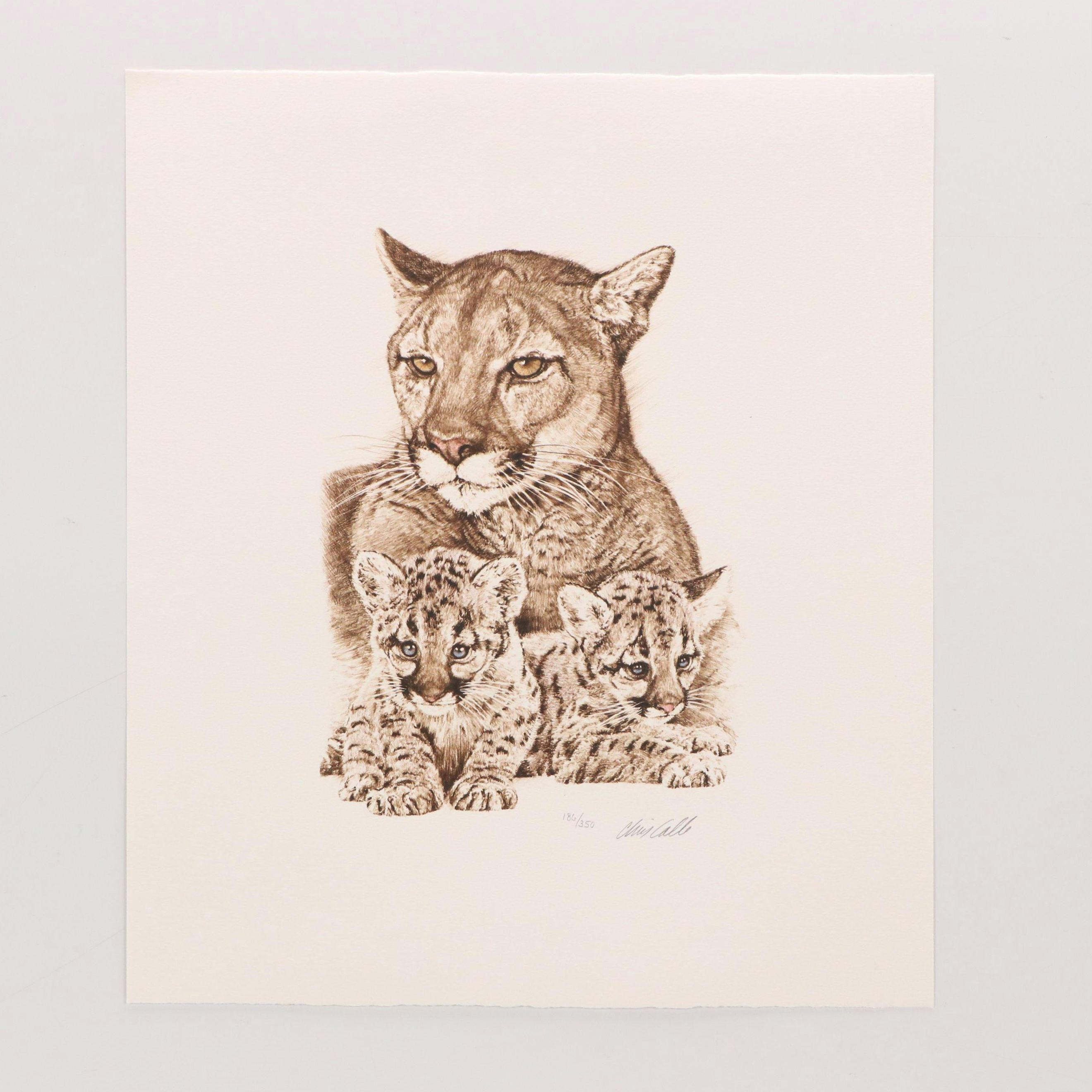 Mill Pond Press North American Wilderness Color Lithograph Portfolio