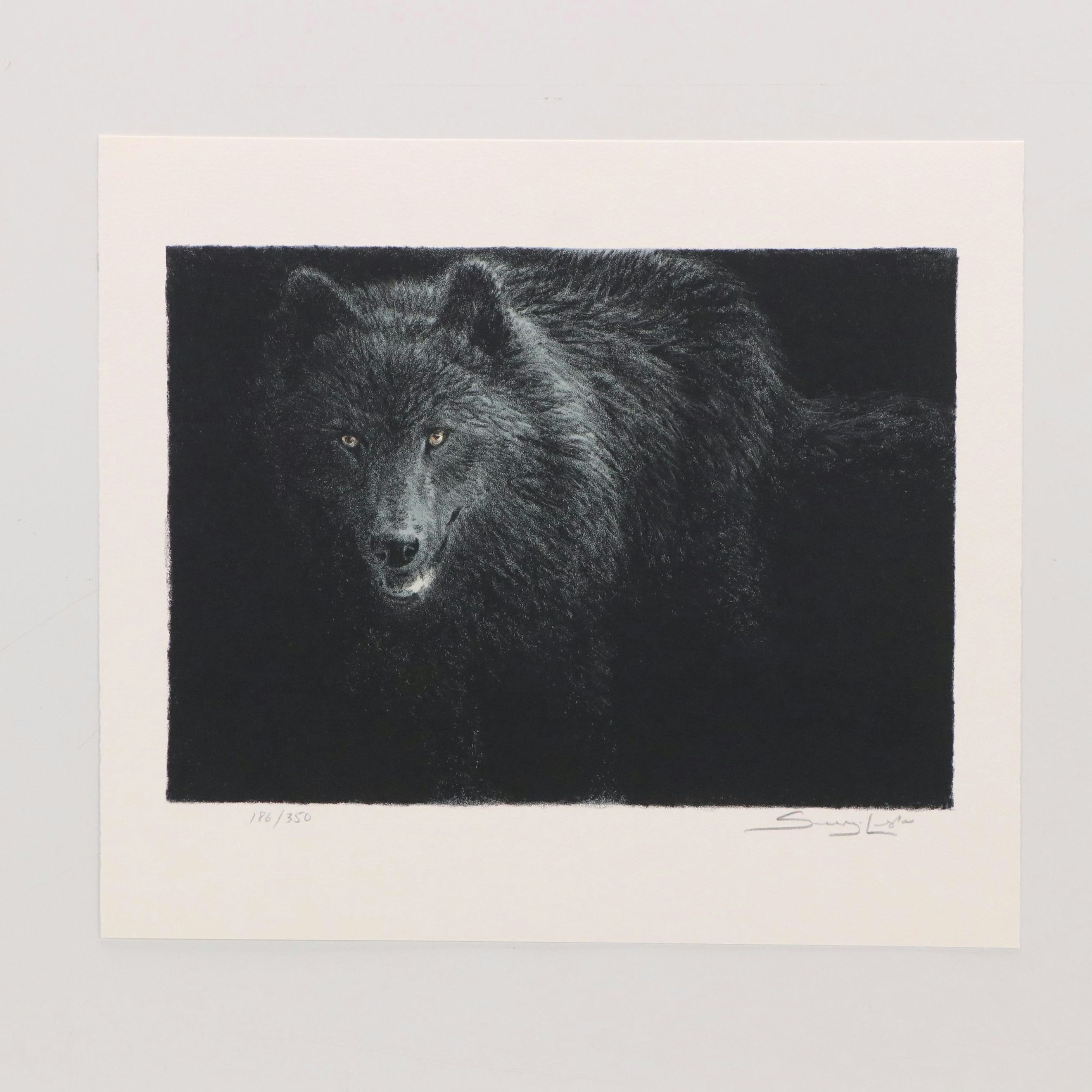 Mill Pond Press North American Wilderness Color Lithograph Portfolio