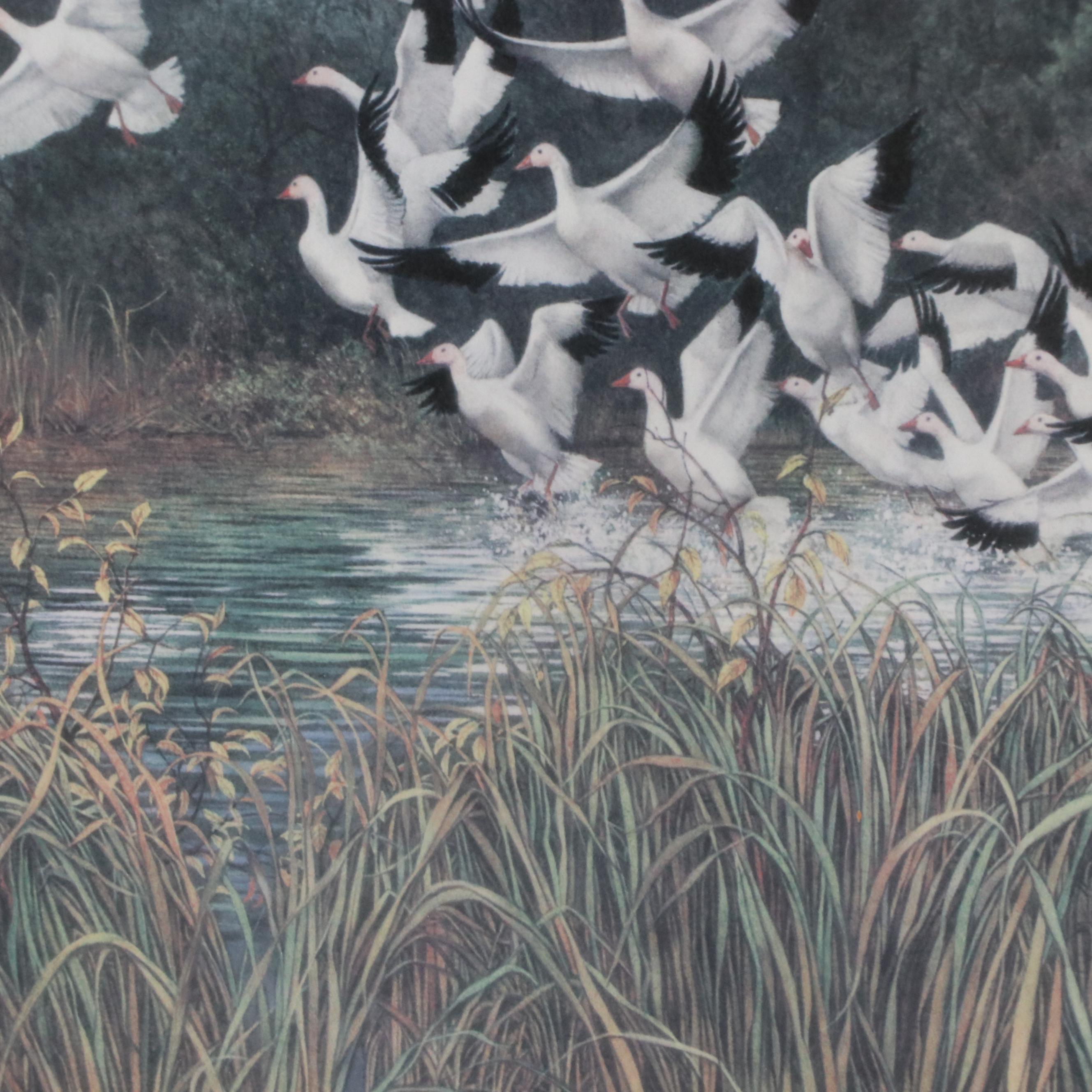 Bev Doolittle Offset Lithograph "Sacred Circle"