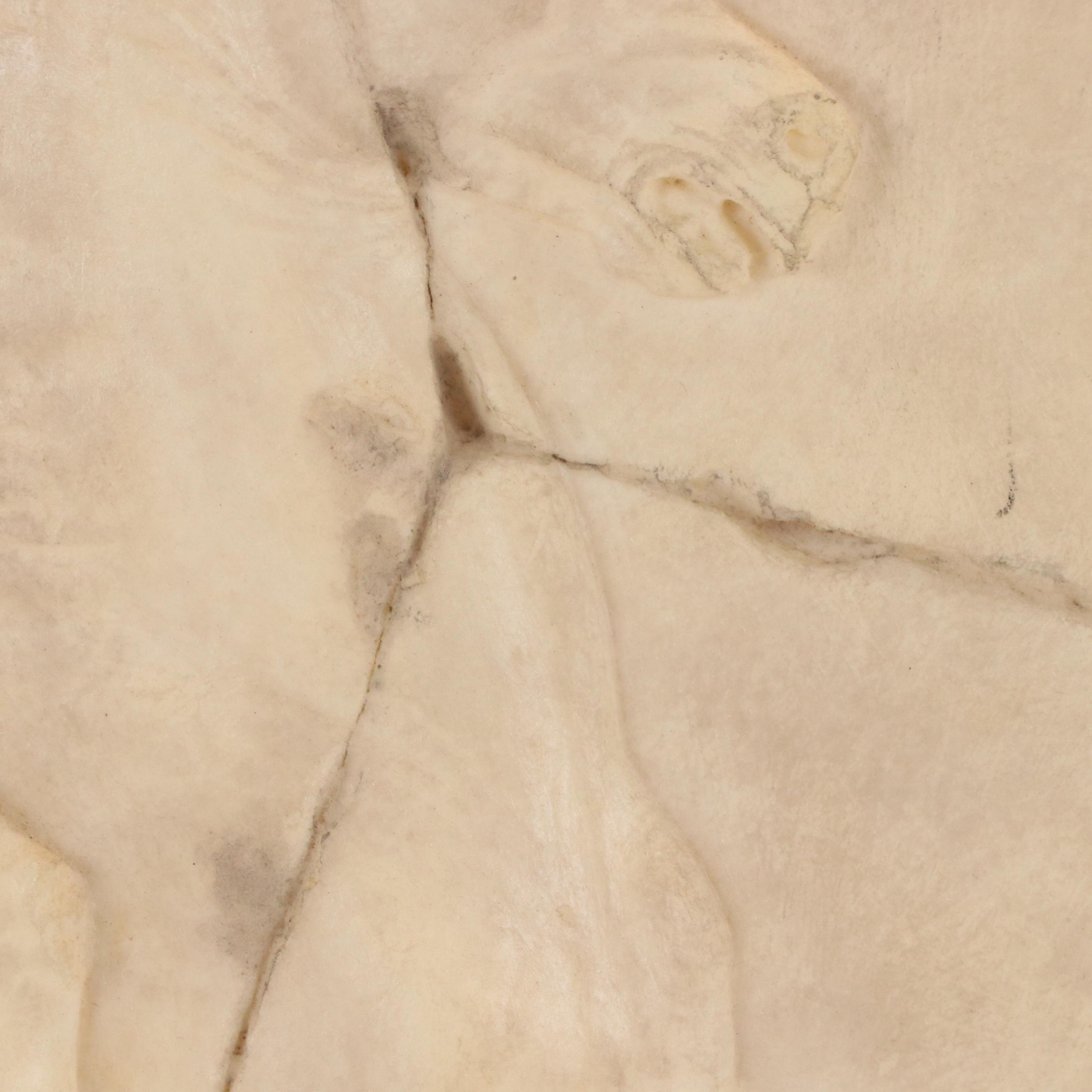 Neoclassical Style Bas Relief Reproduction Fragment