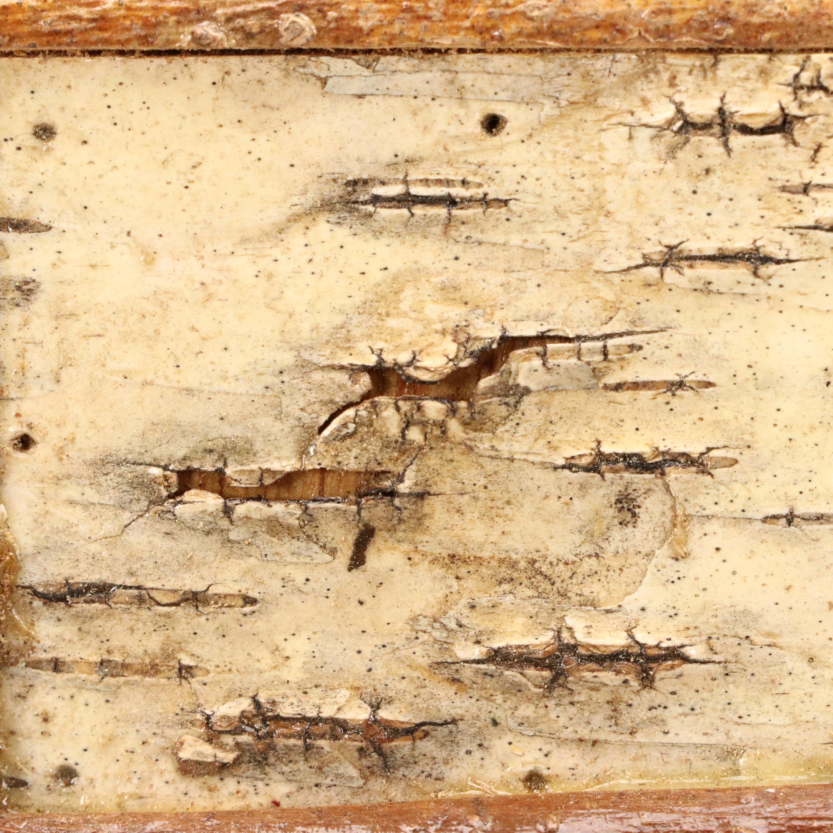 Robert Beaven Folk Art Frame with Pine Cones, Birch Bark, and Twigs