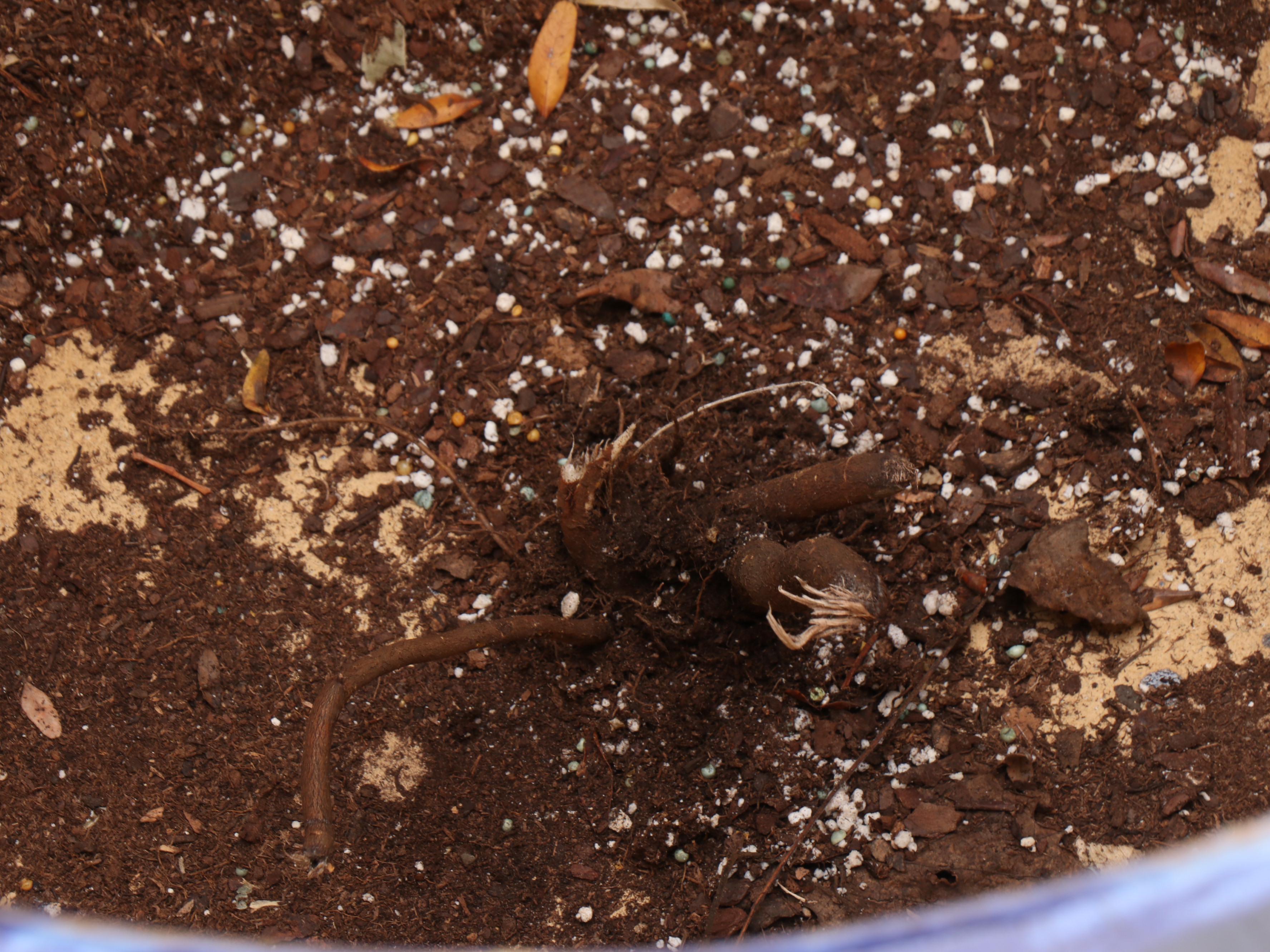 Blue Ceramic Outdoor Planters