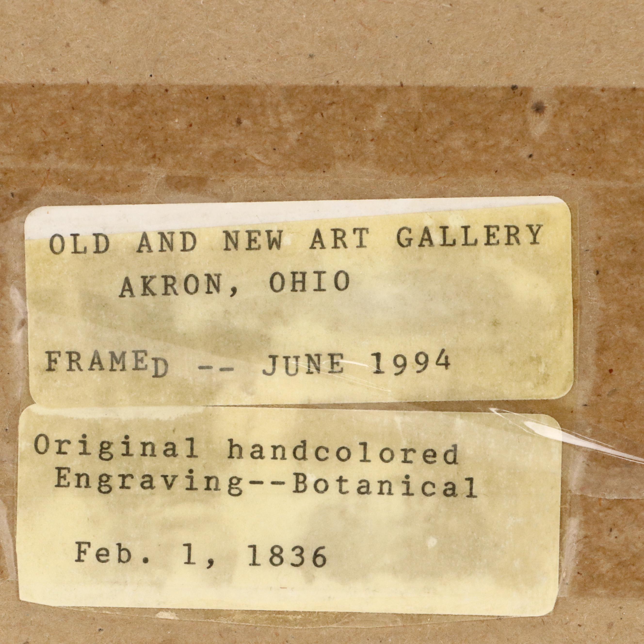 Botanical Hand-Colored Engravings After Sarah Anne Drake and Other, 1827–1845