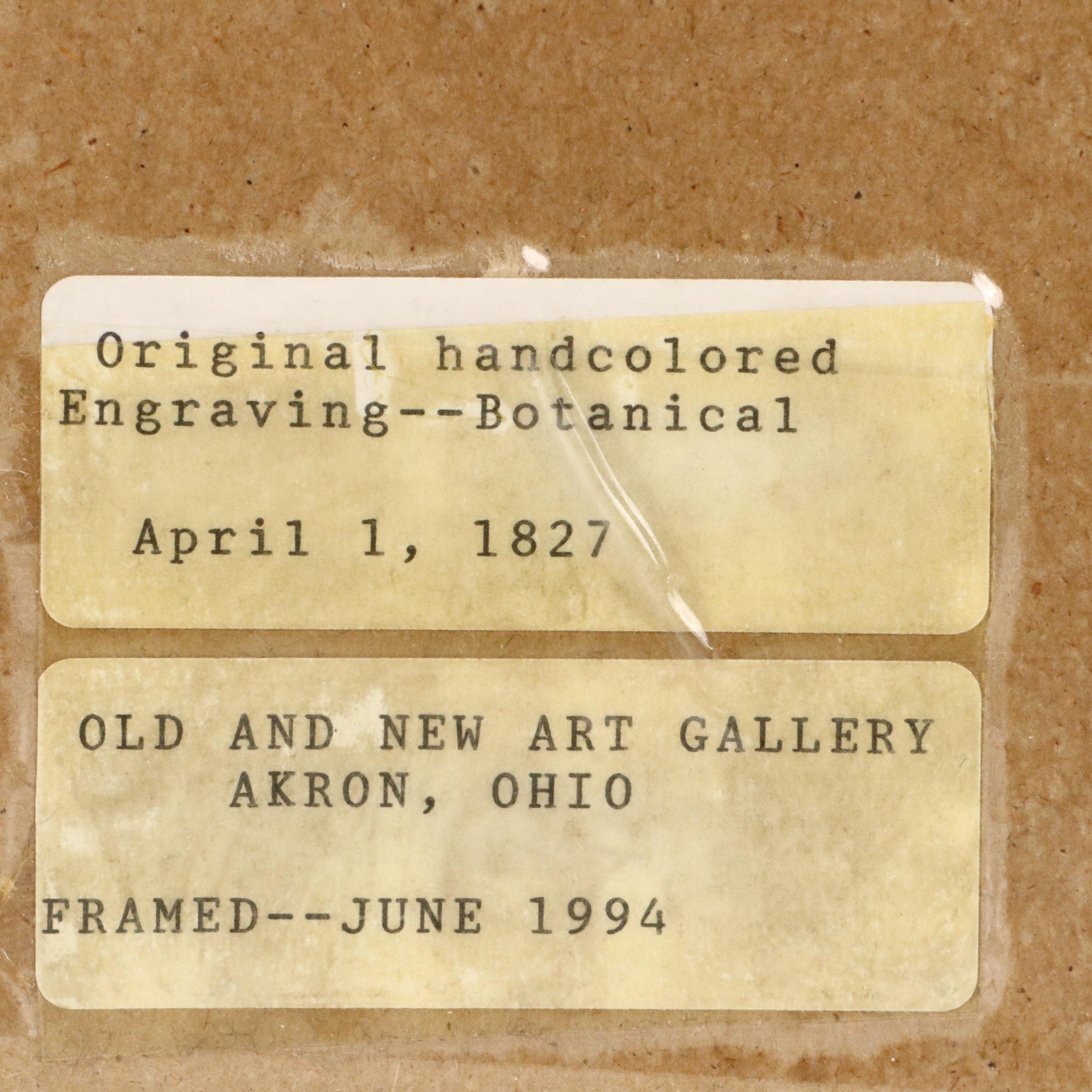 Botanical Hand-Colored Engravings After Sarah Anne Drake and Other, 1827–1845