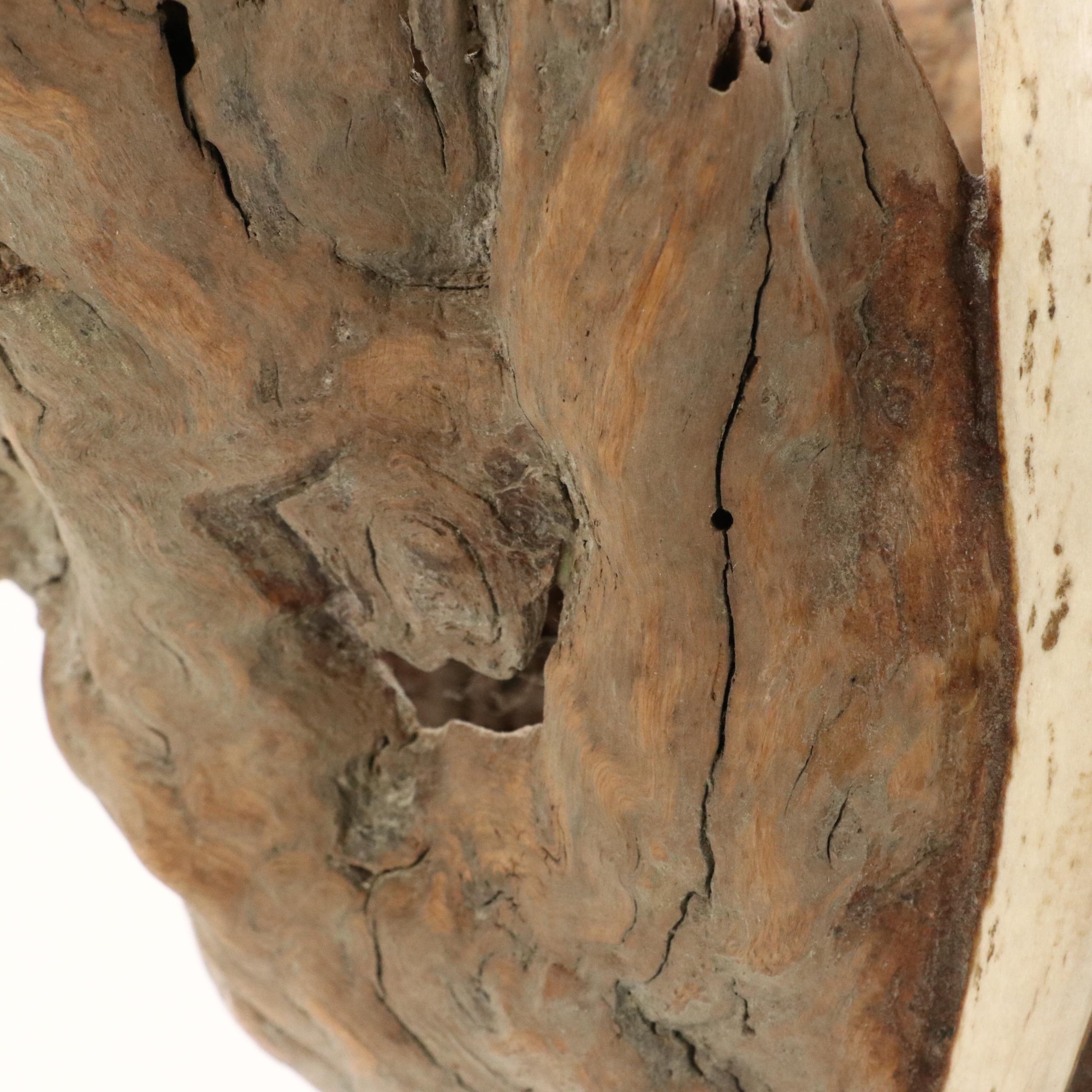 Robert Beaven Folk Art Found Wood, Twig, and Bone Sculpture