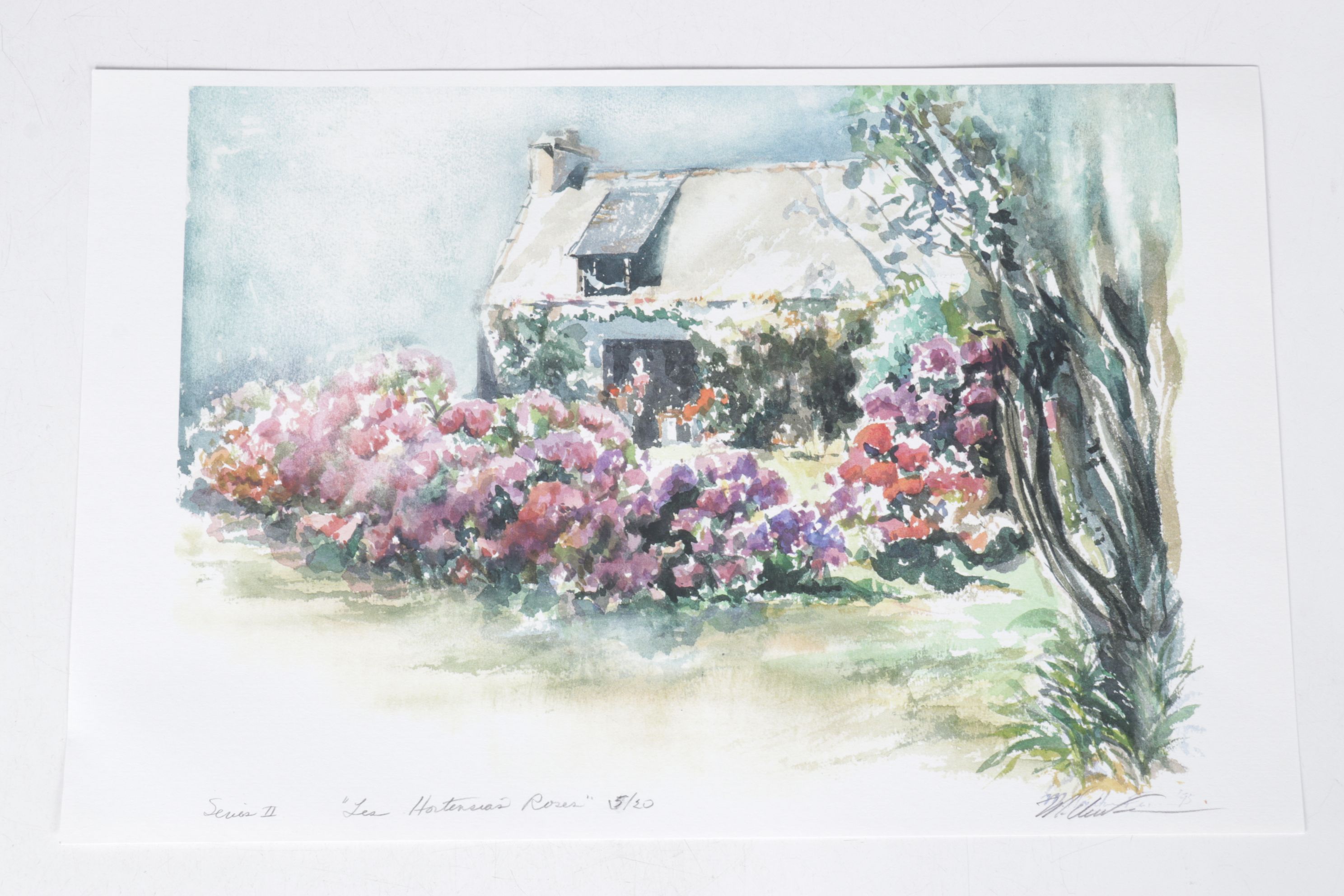 Set of Margaret Voelker-Ferrier Digital Prints of Windows, Facades, & Landscapes