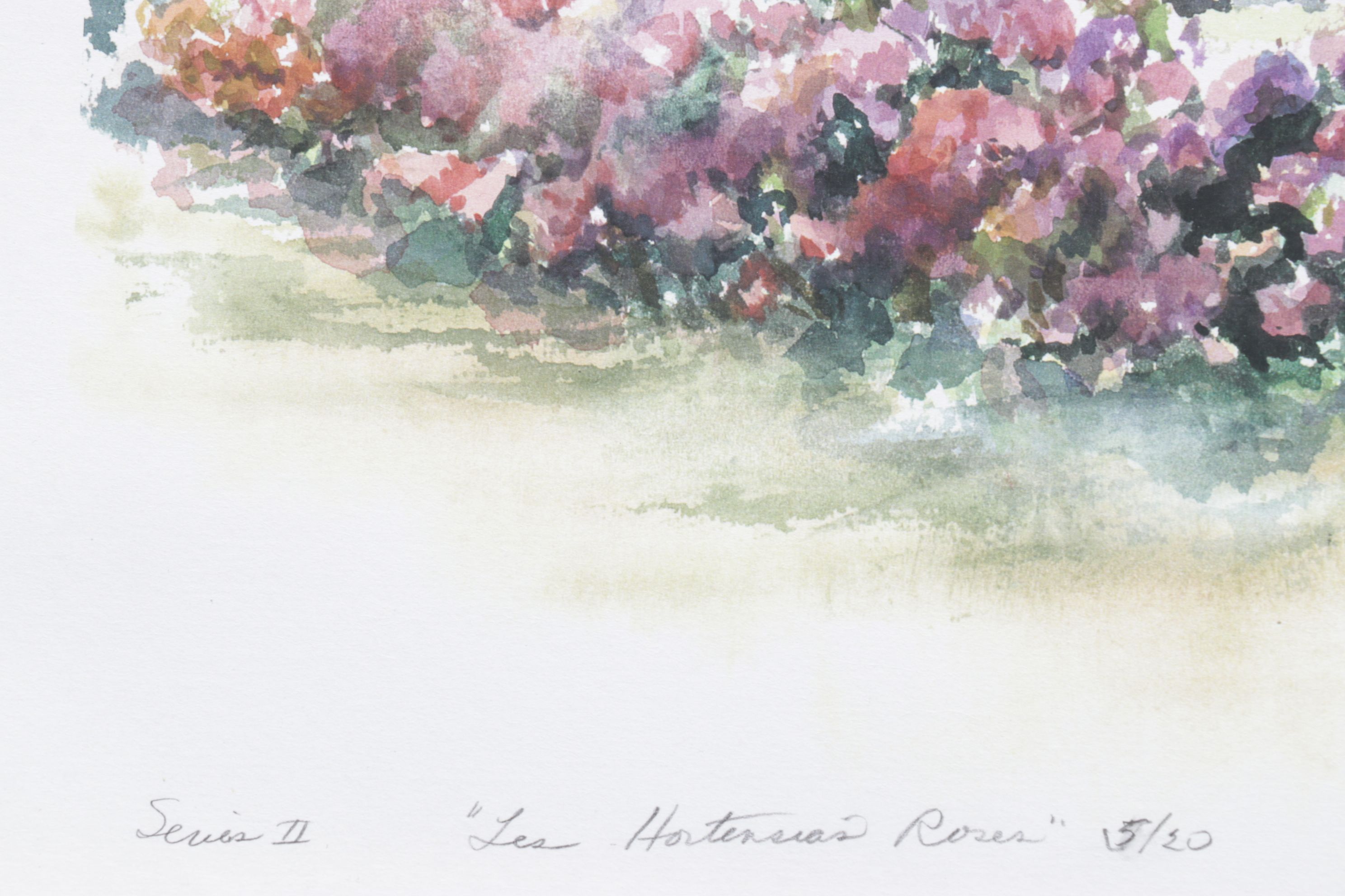 Set of Margaret Voelker-Ferrier Digital Prints of Windows, Facades, & Landscapes